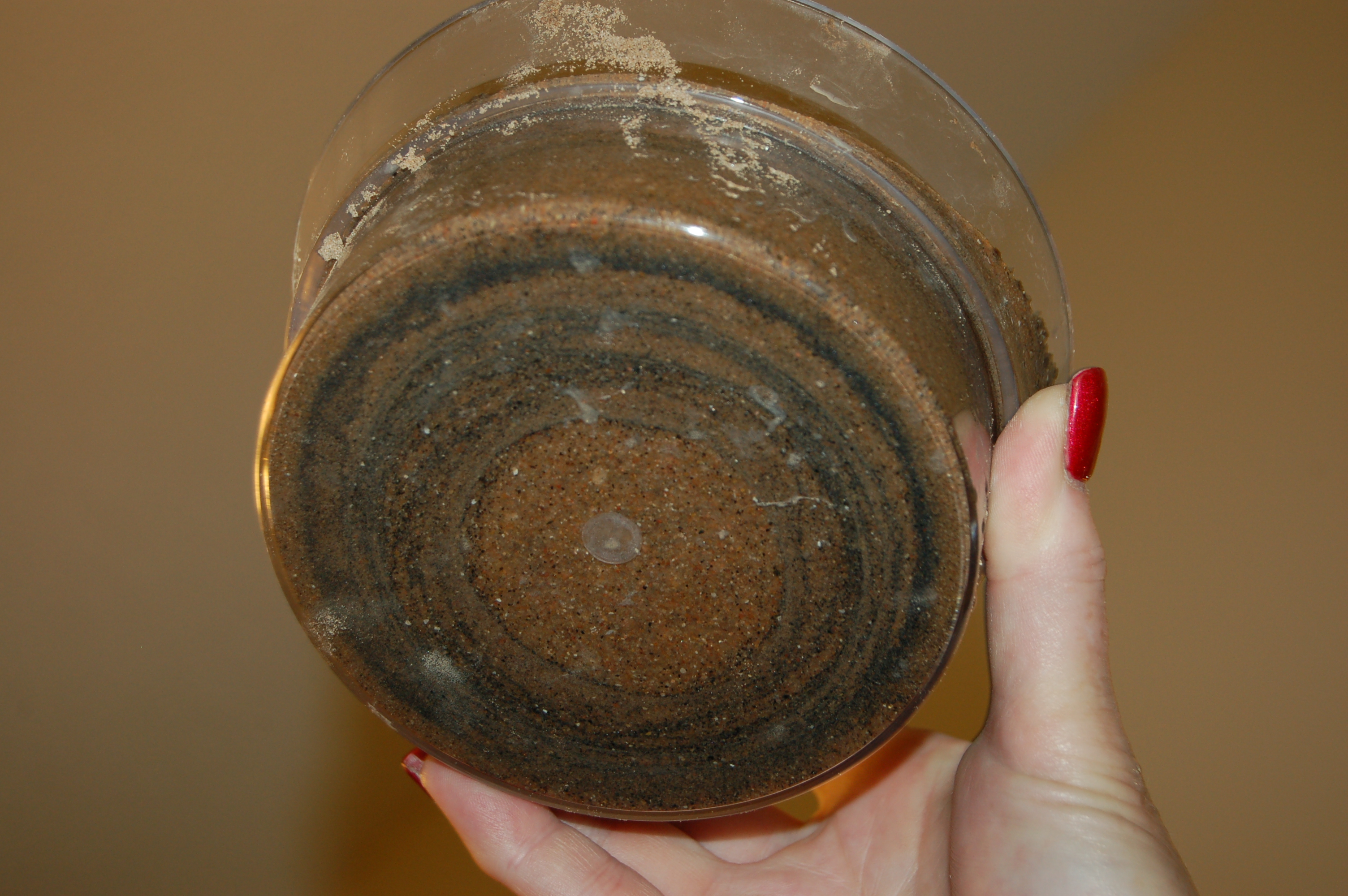 Member content 7 of 12