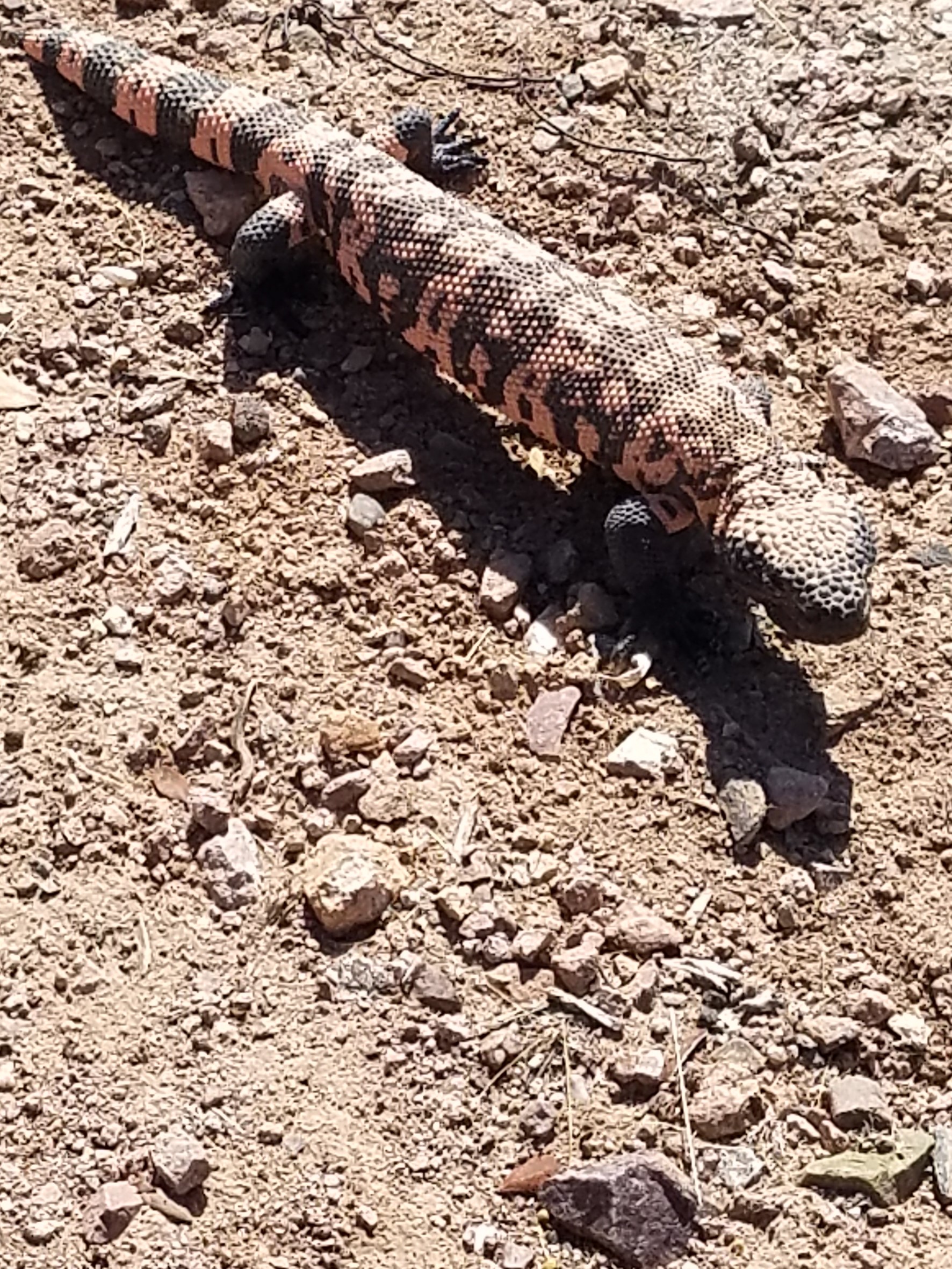 Member content 17 of 41