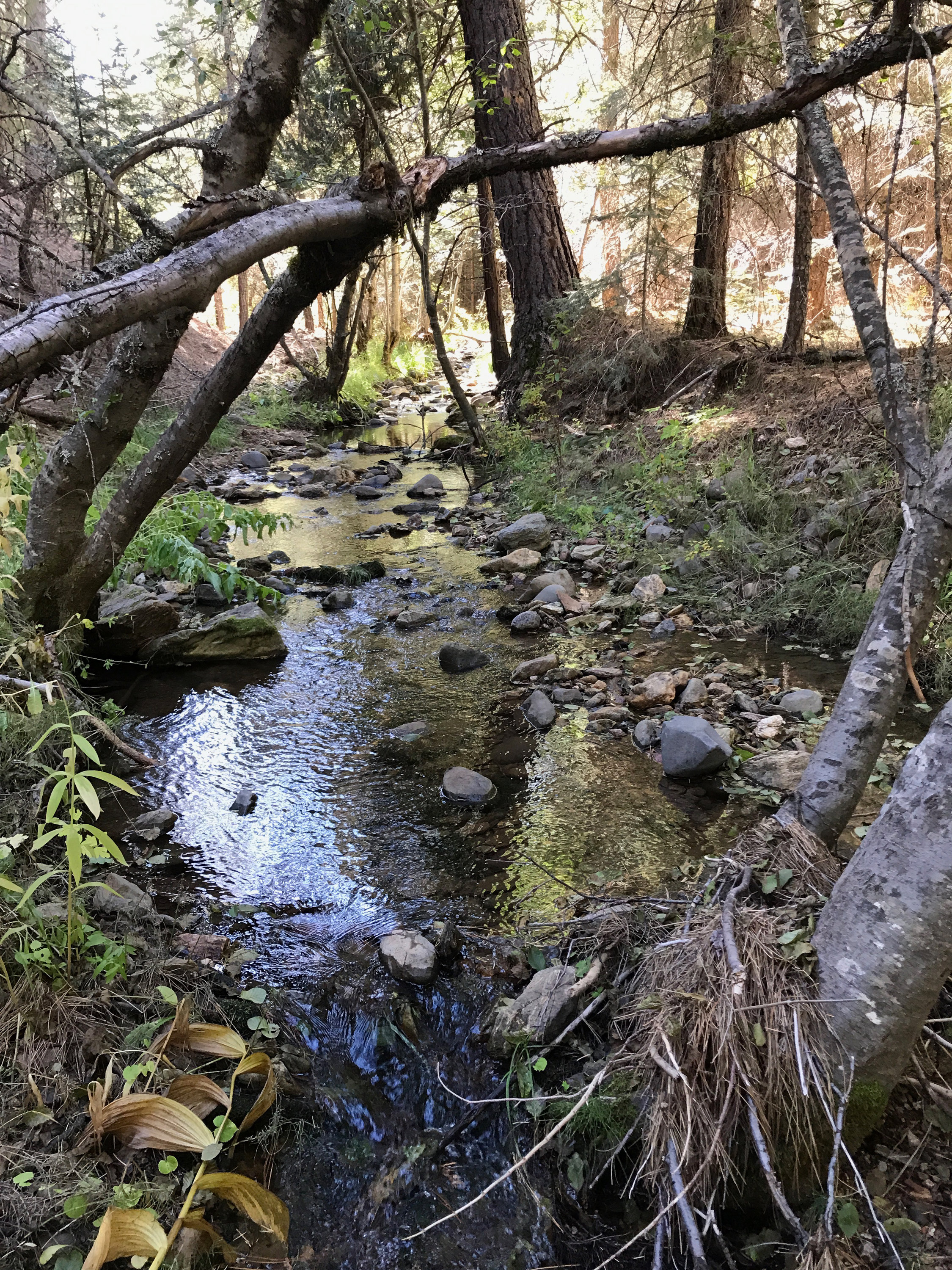 Member content 1 of 5