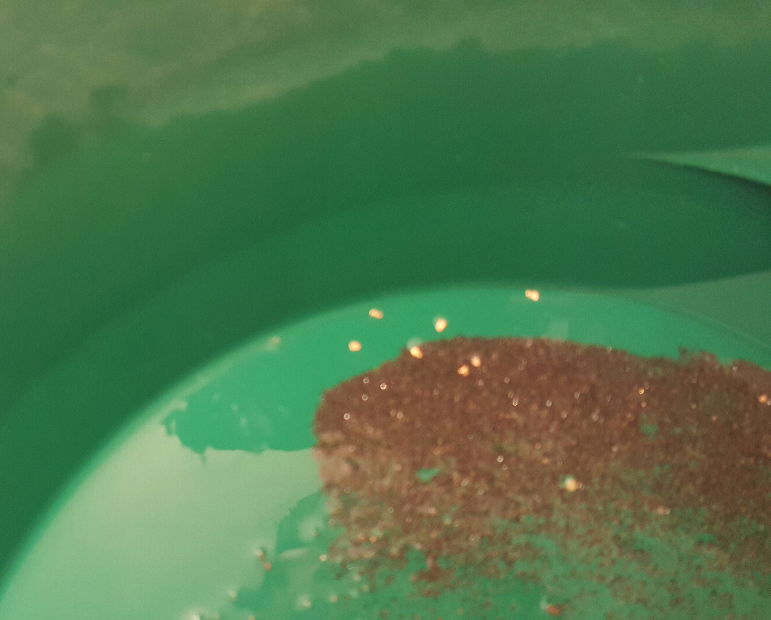 Member content 3 of 21