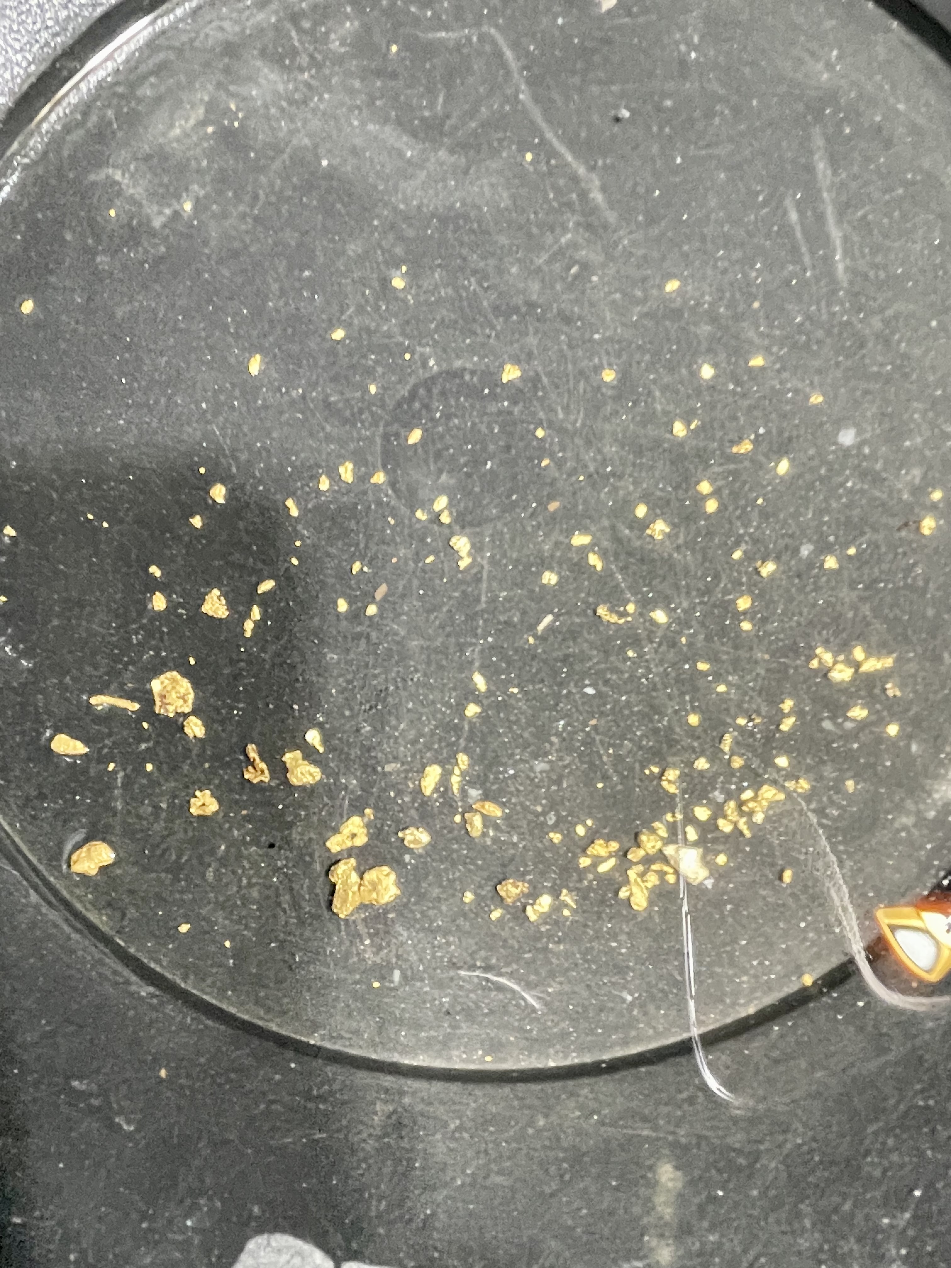 Member content 7 of 10