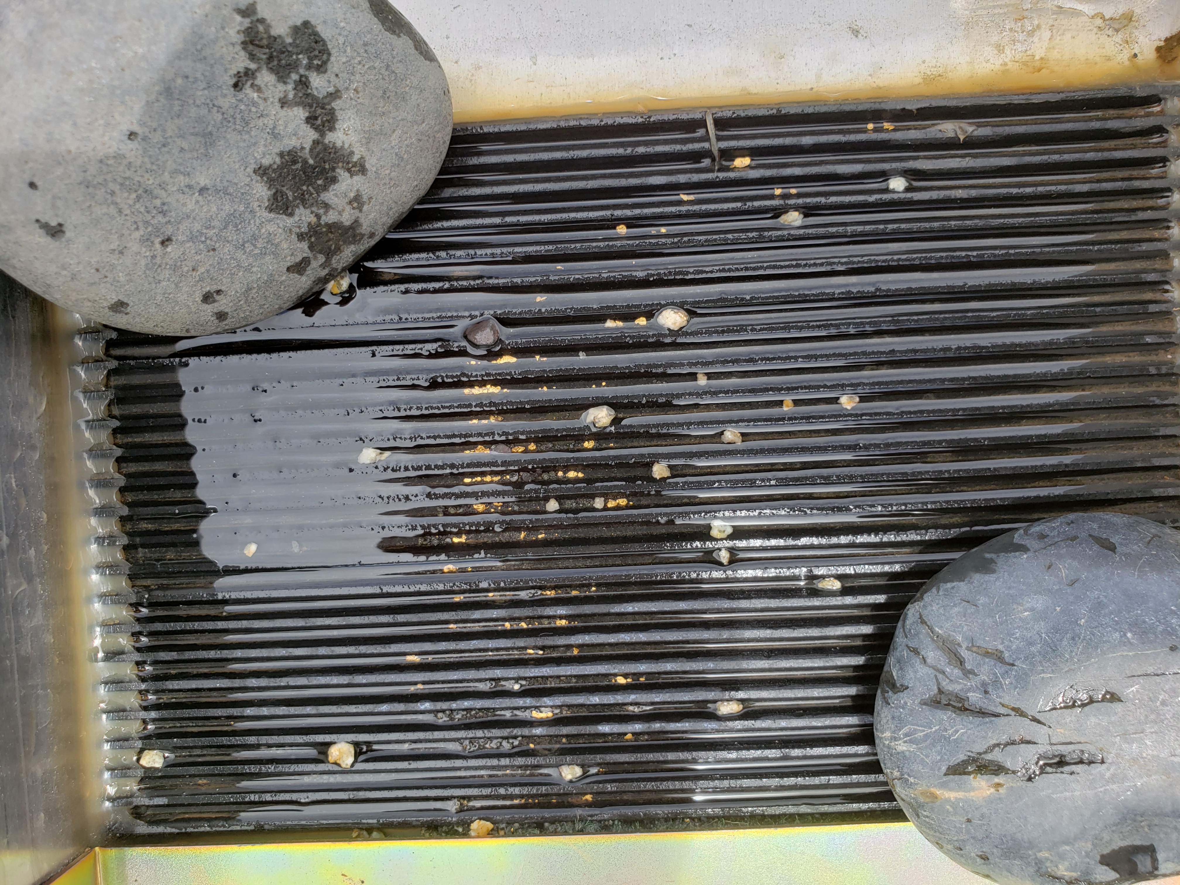 Member content 14 of 206