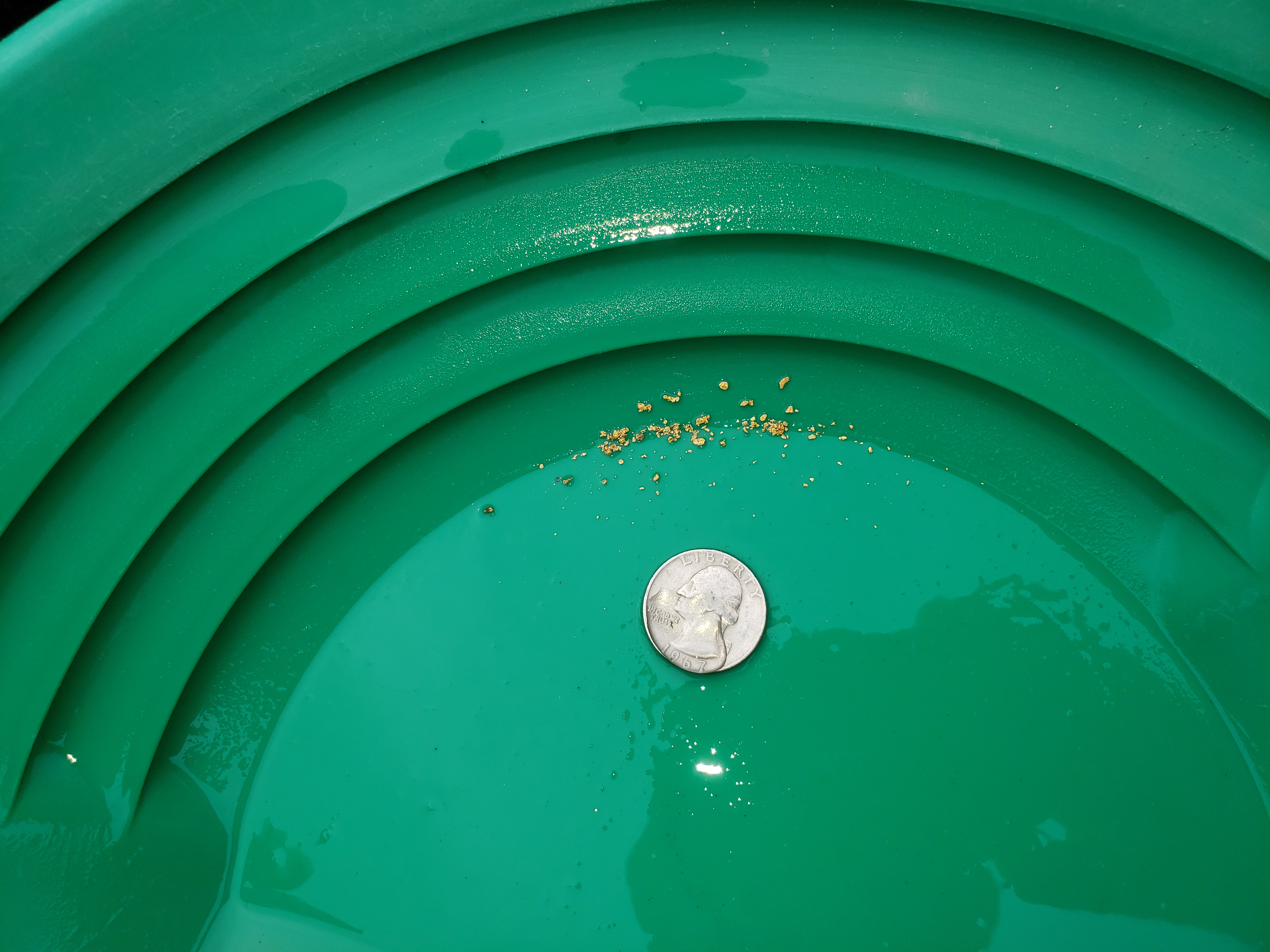 Member content 15 of 206