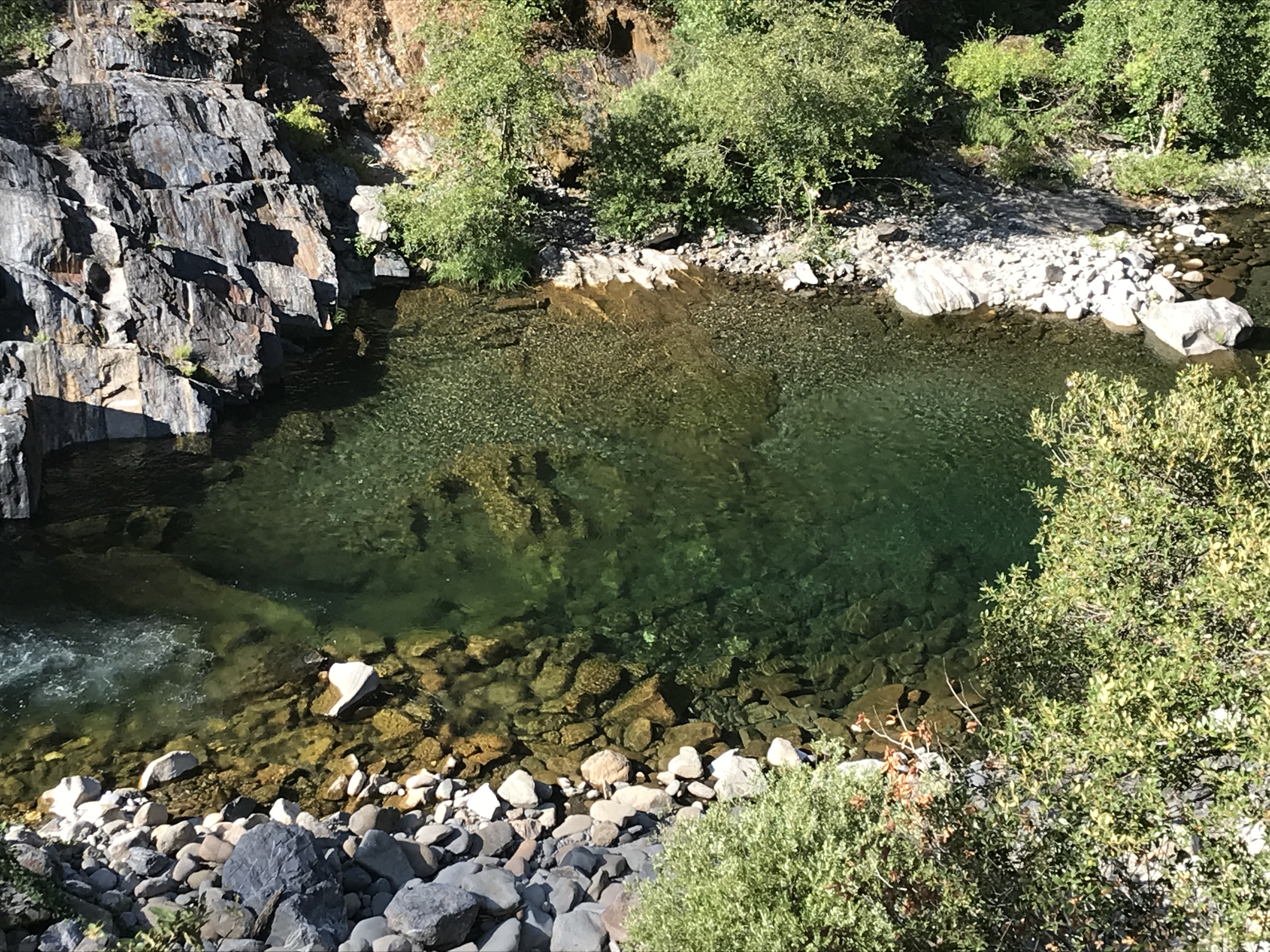 Member content 11 of 38