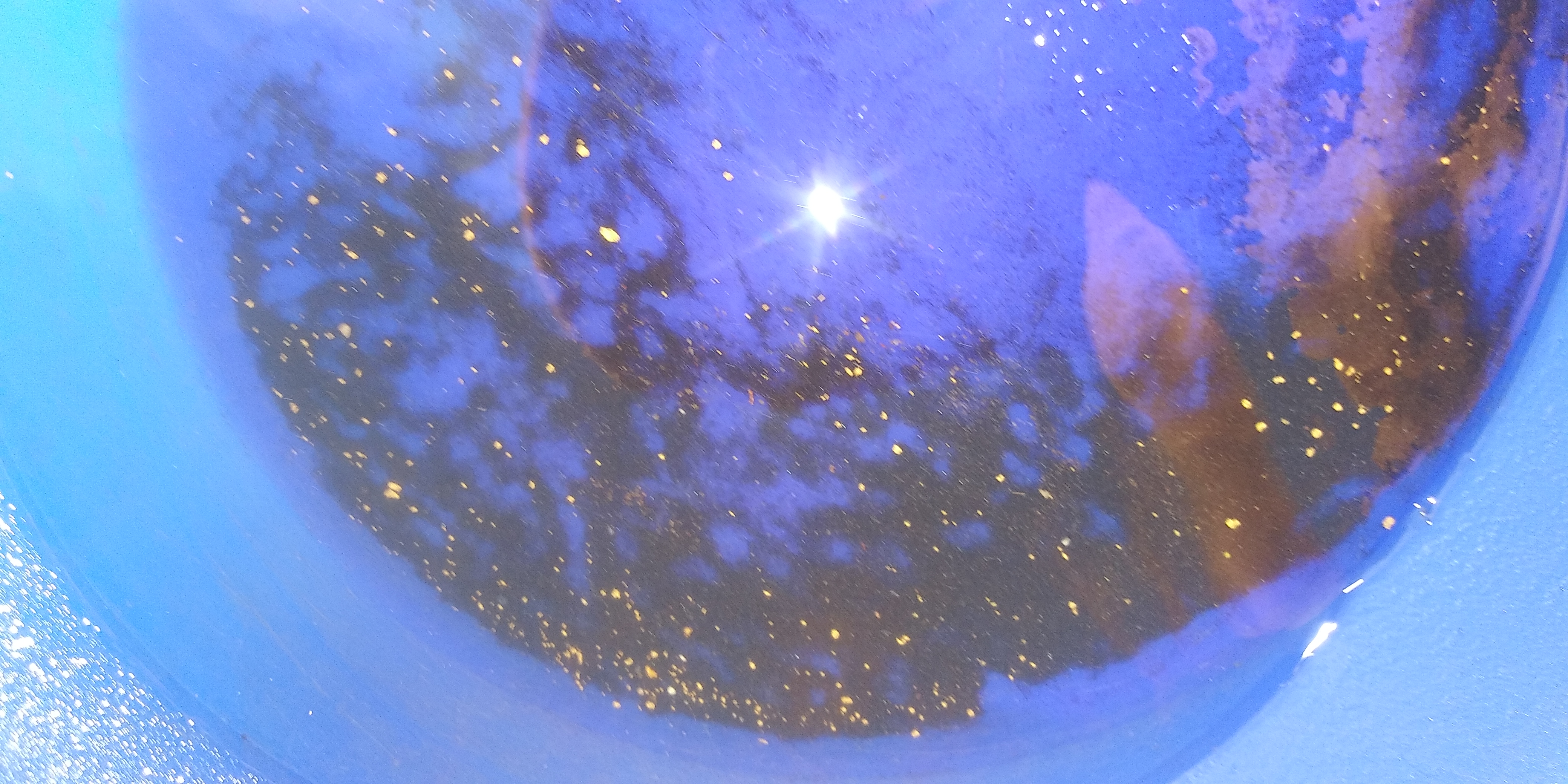 Member content 10 of 21