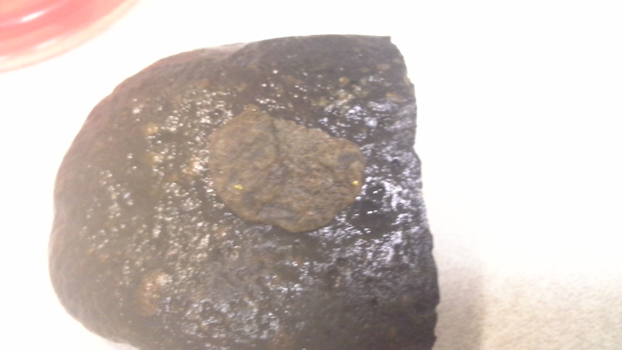 Member content 1 of 6