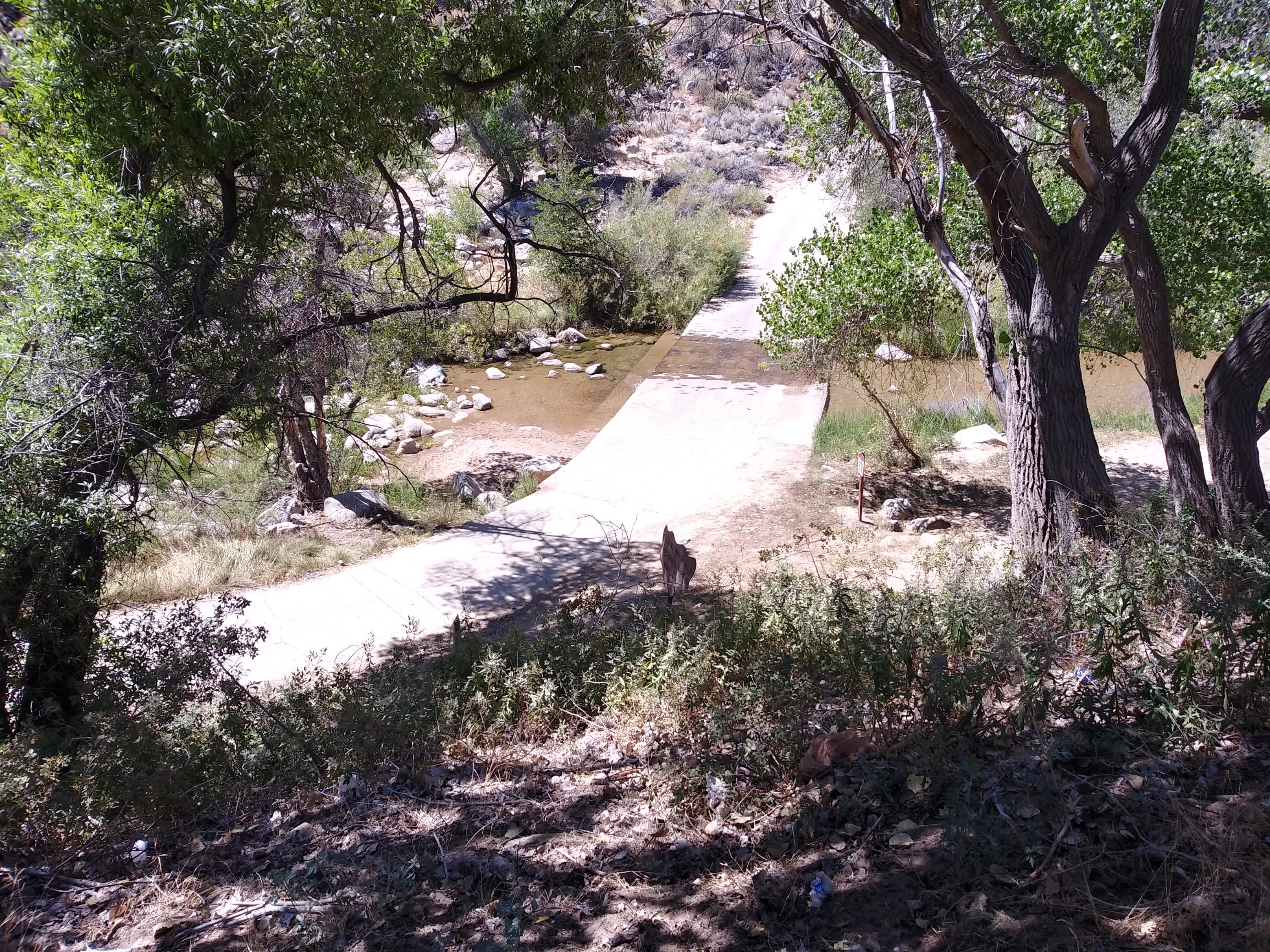 Member content 4 of 27