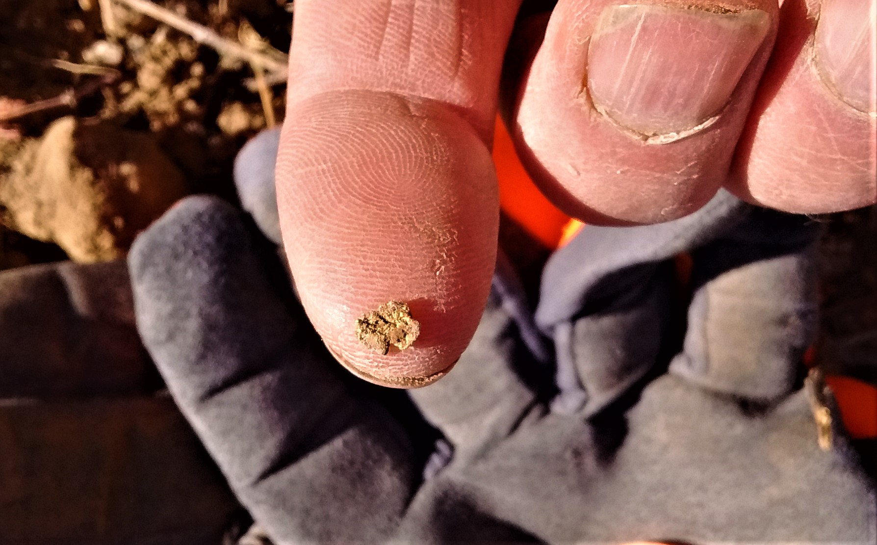 Member content 51 of 206