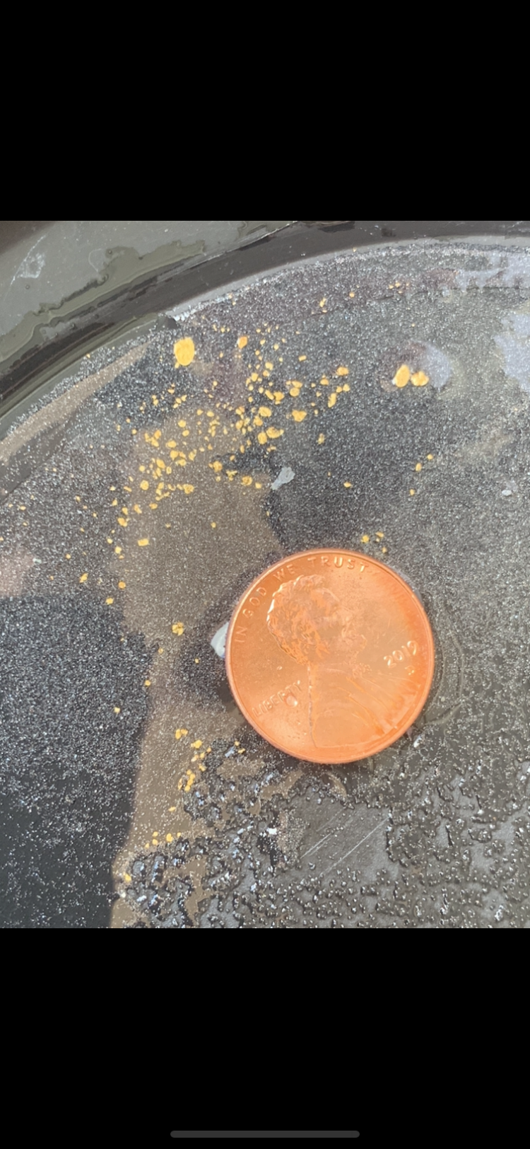 Member content 1 of 6