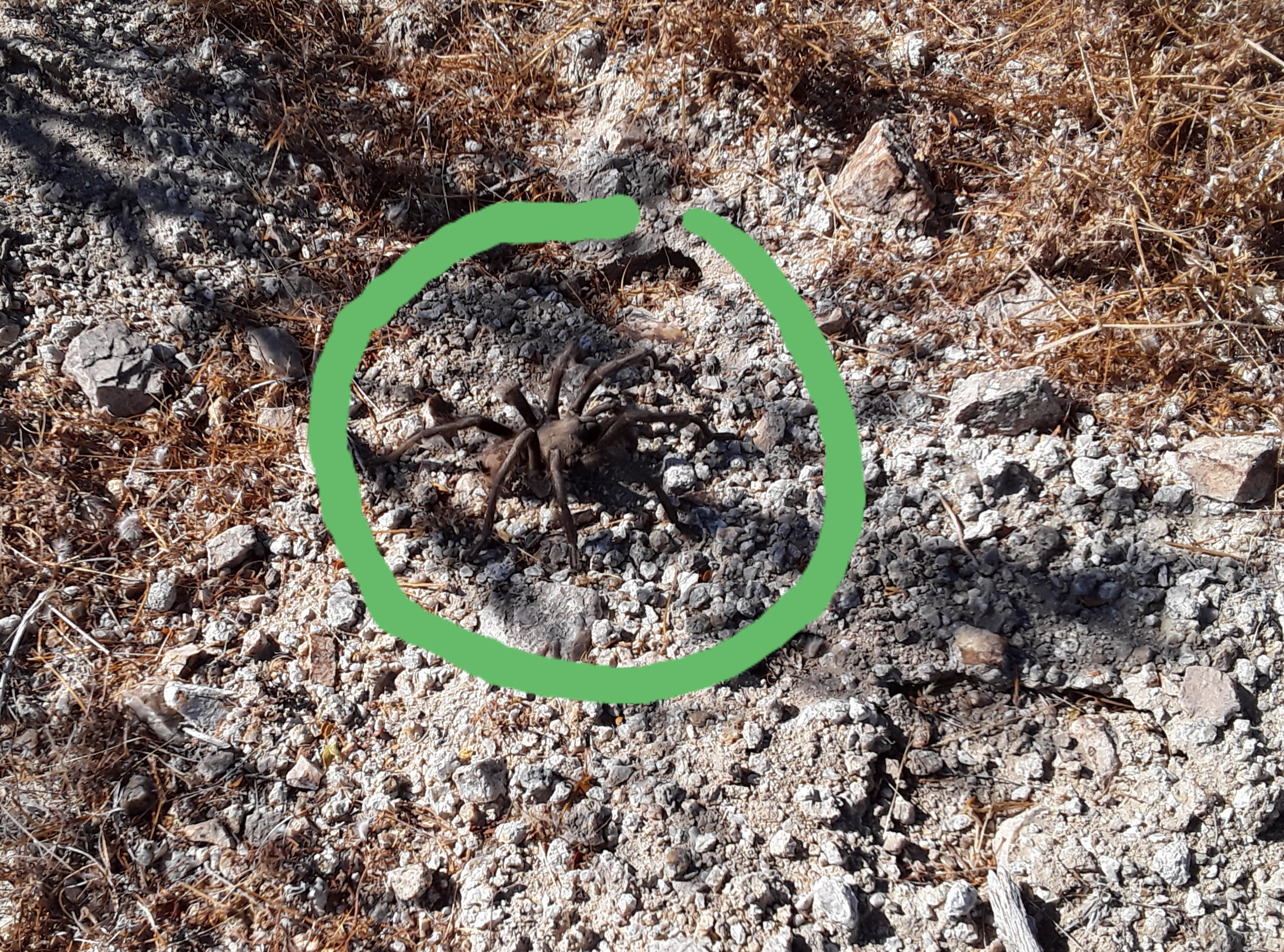 Member content 88 of 206