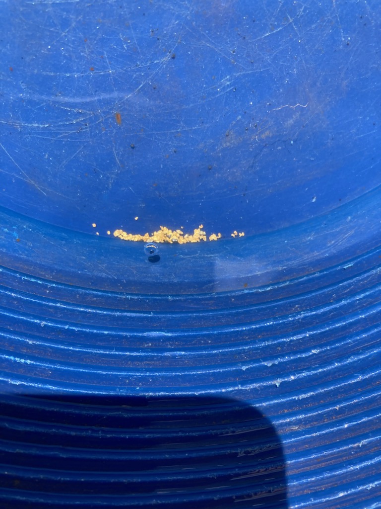 Member content 173 of 206