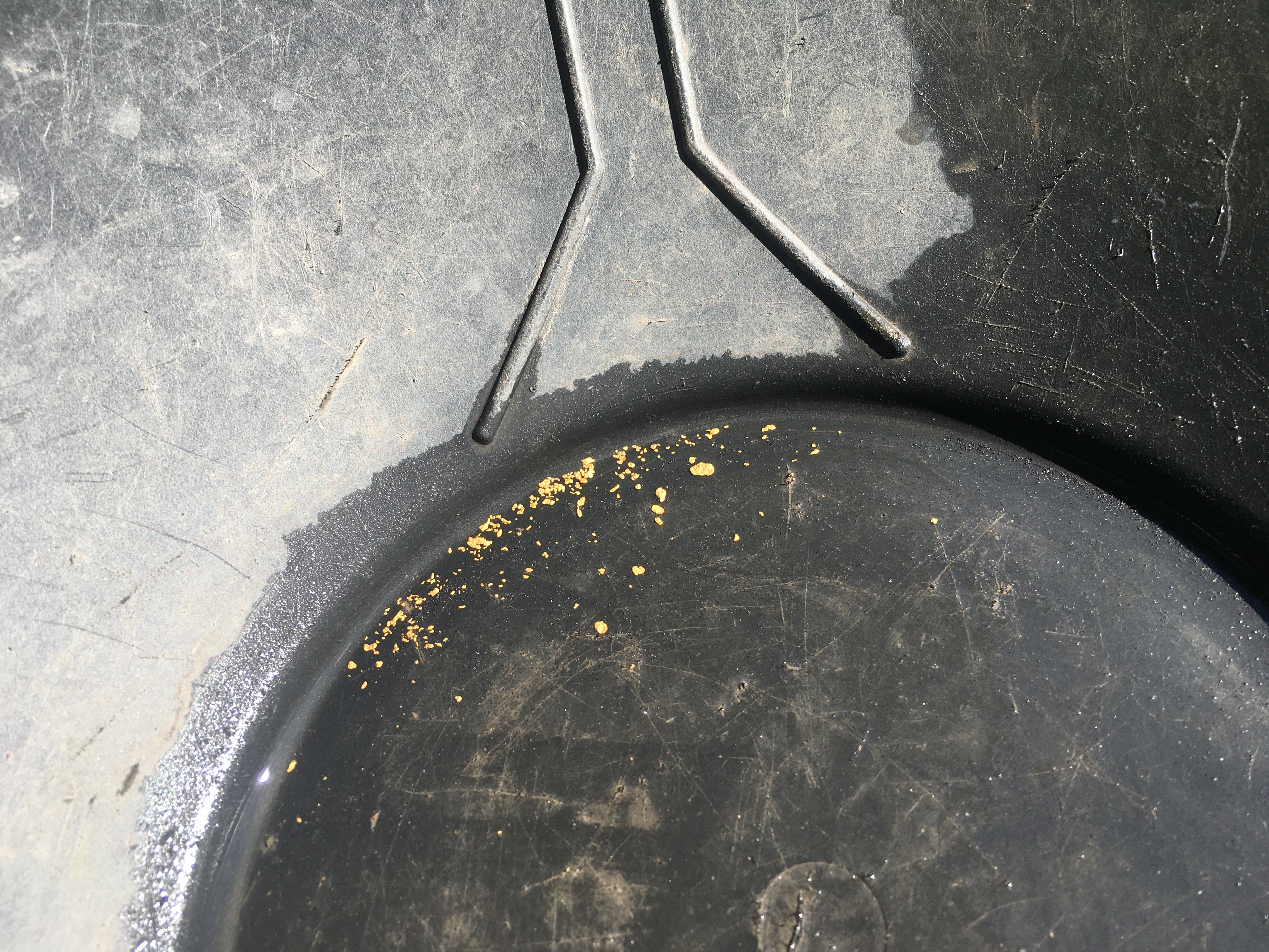 Member content 6 of 8