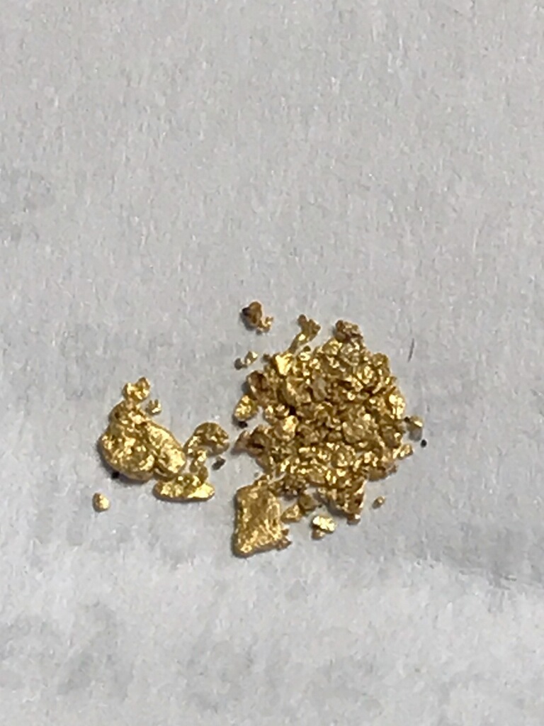 Member content 134 of 206