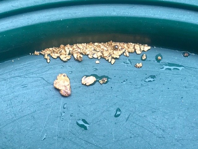 Member content 150 of 206