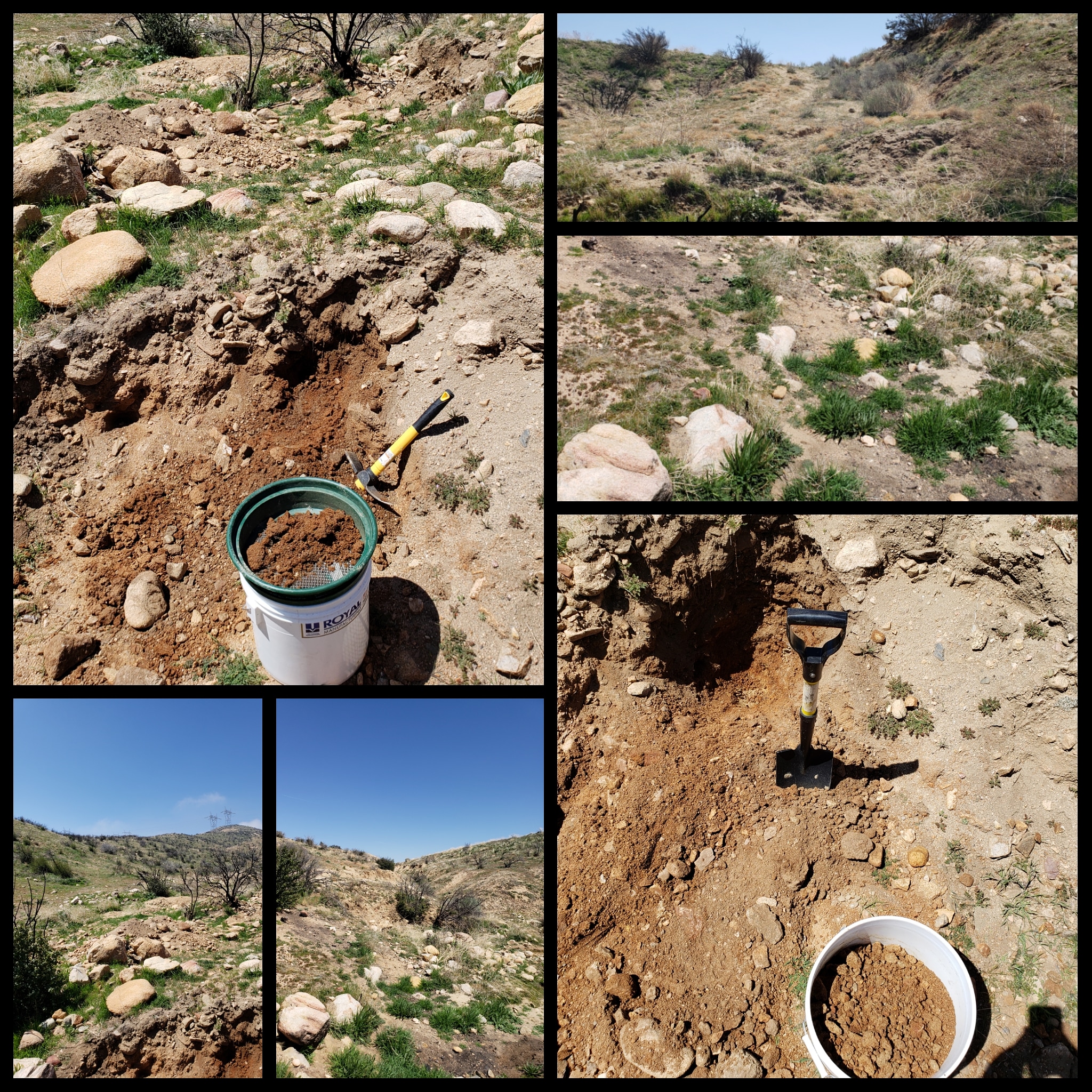 Member content 16 of 97