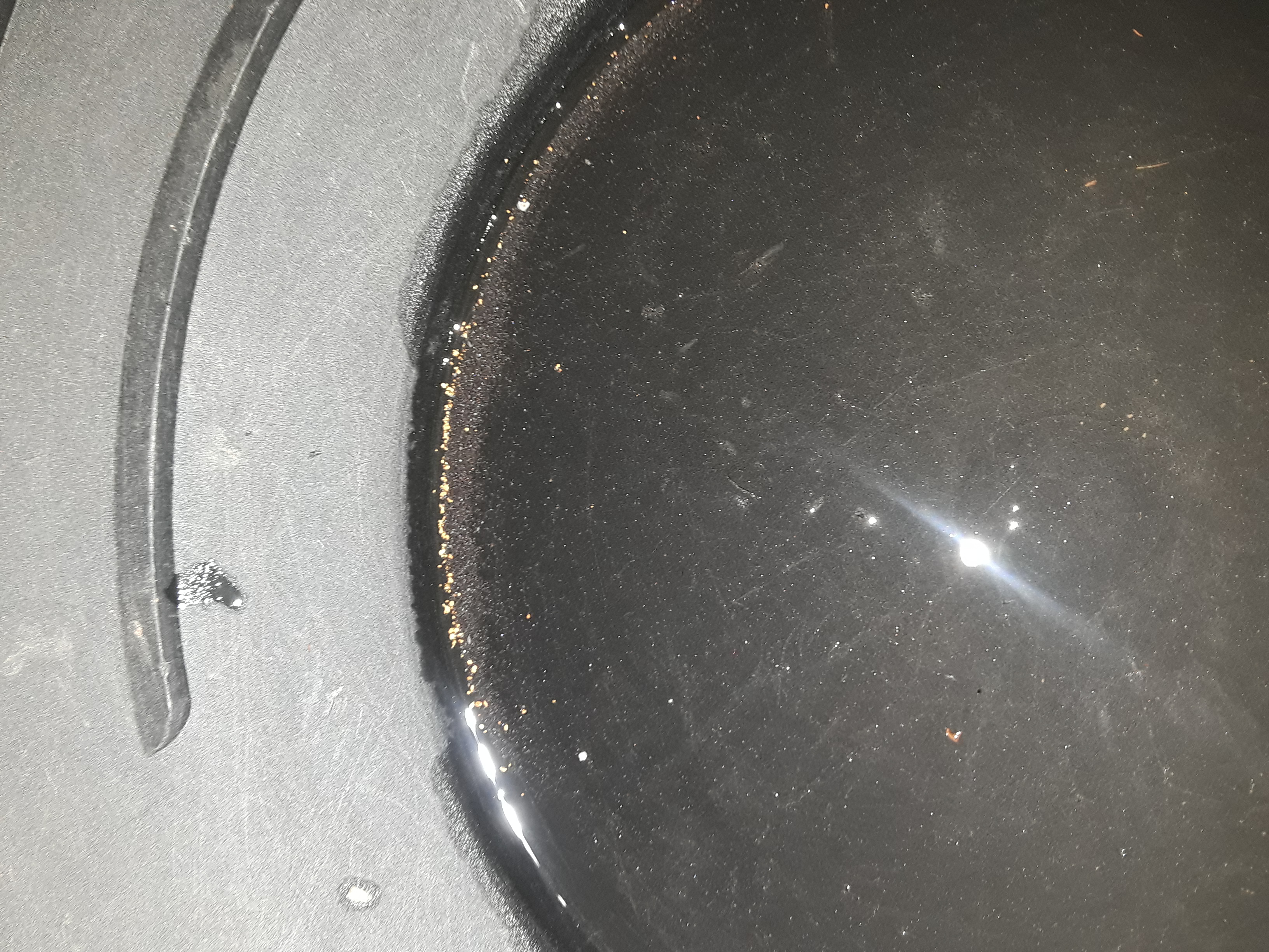 Member content 1 of 20