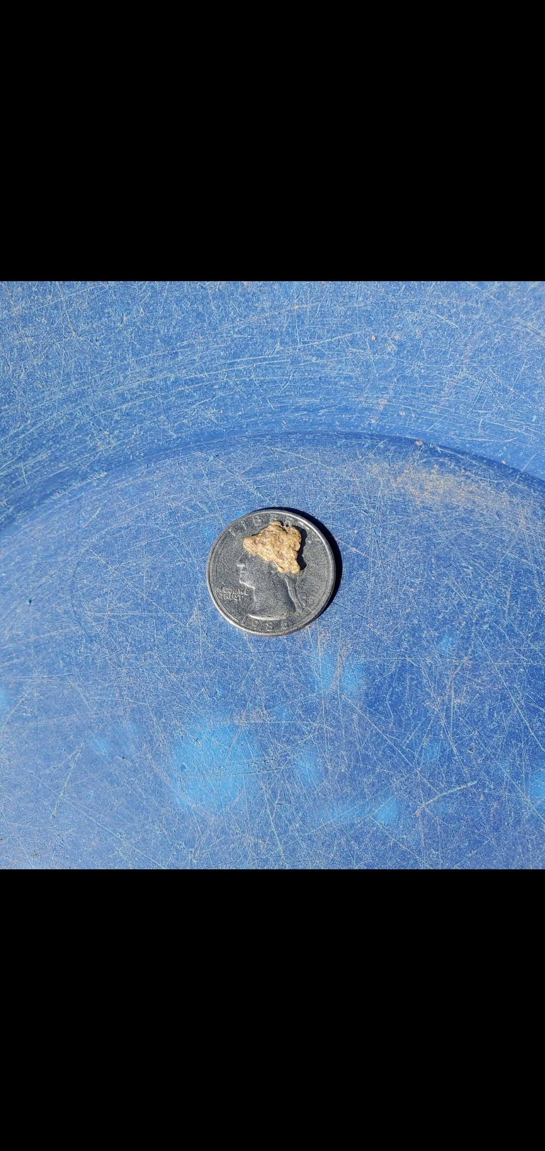 Member content 28 of 41