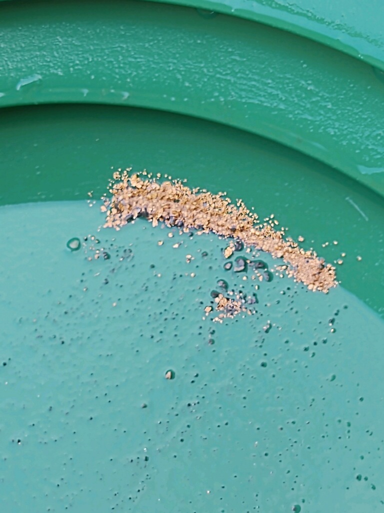 Member content 50 of 97