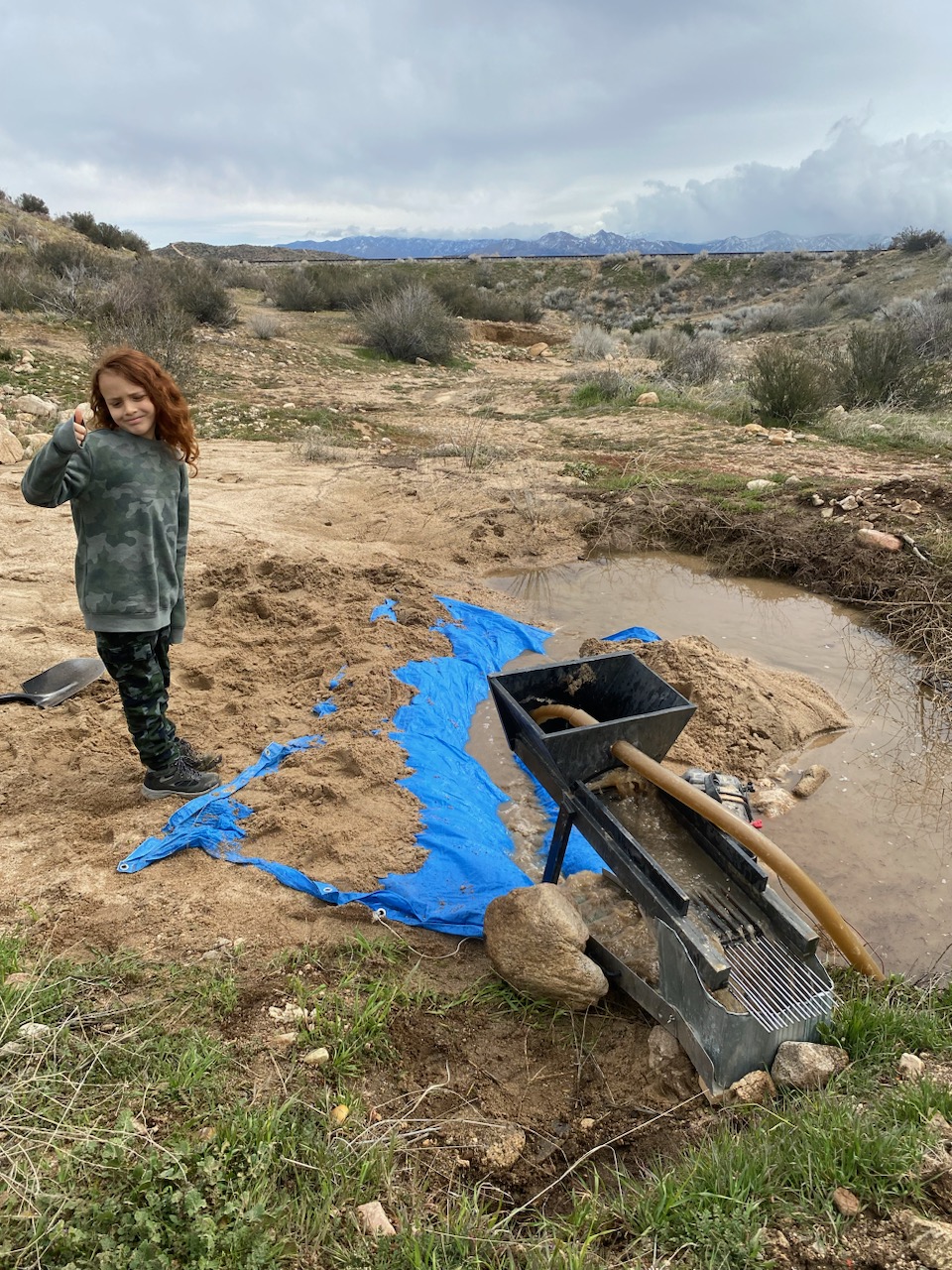 Member content 52 of 97