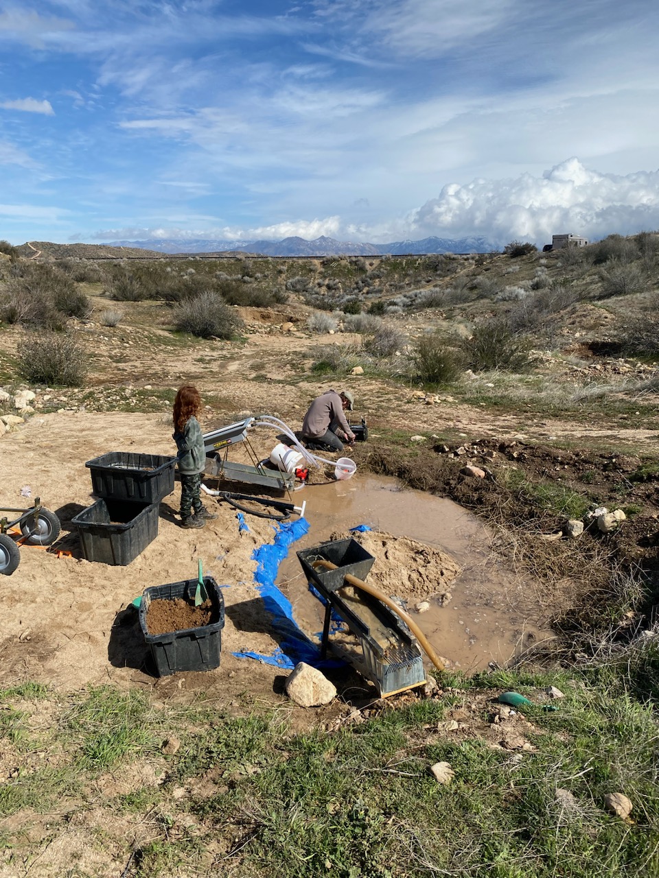 Member content 53 of 97