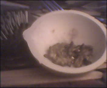 Member content 8 of 21