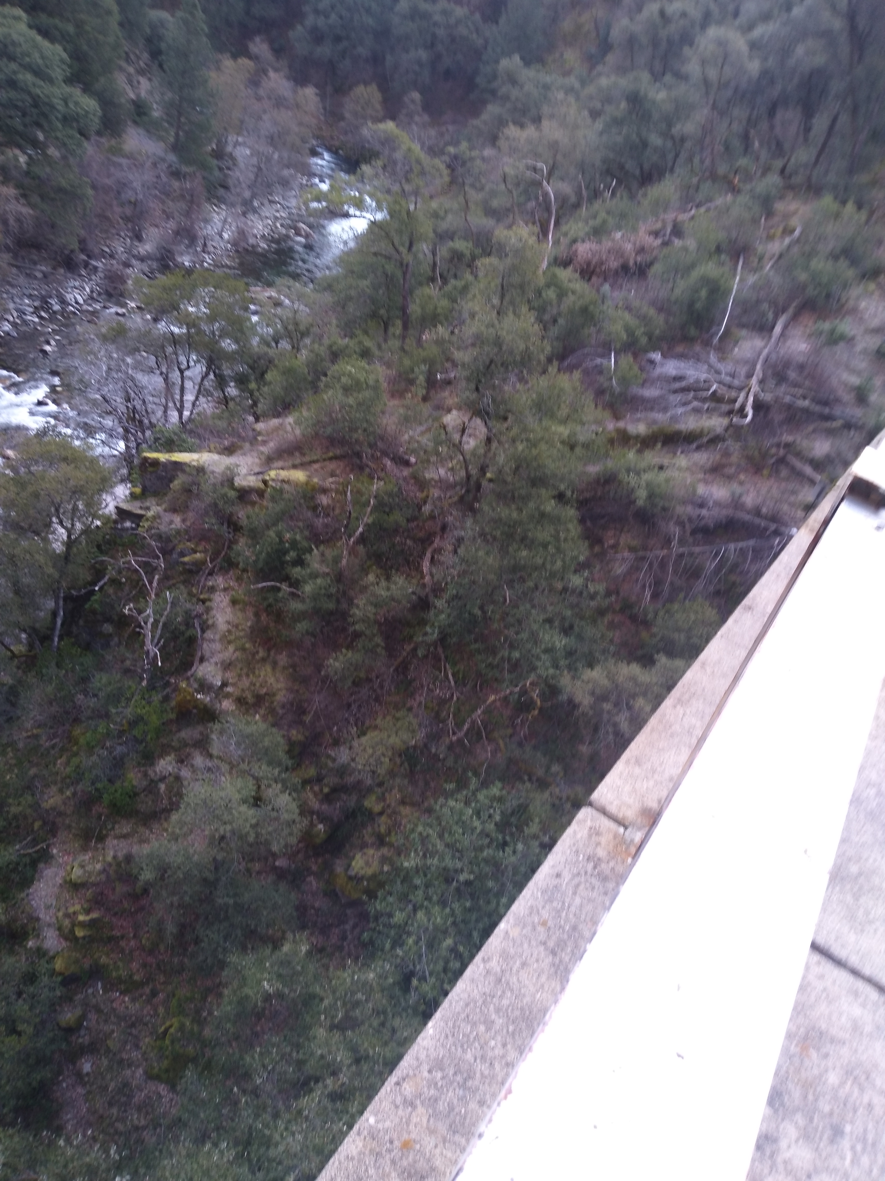 Member content 13 of 38