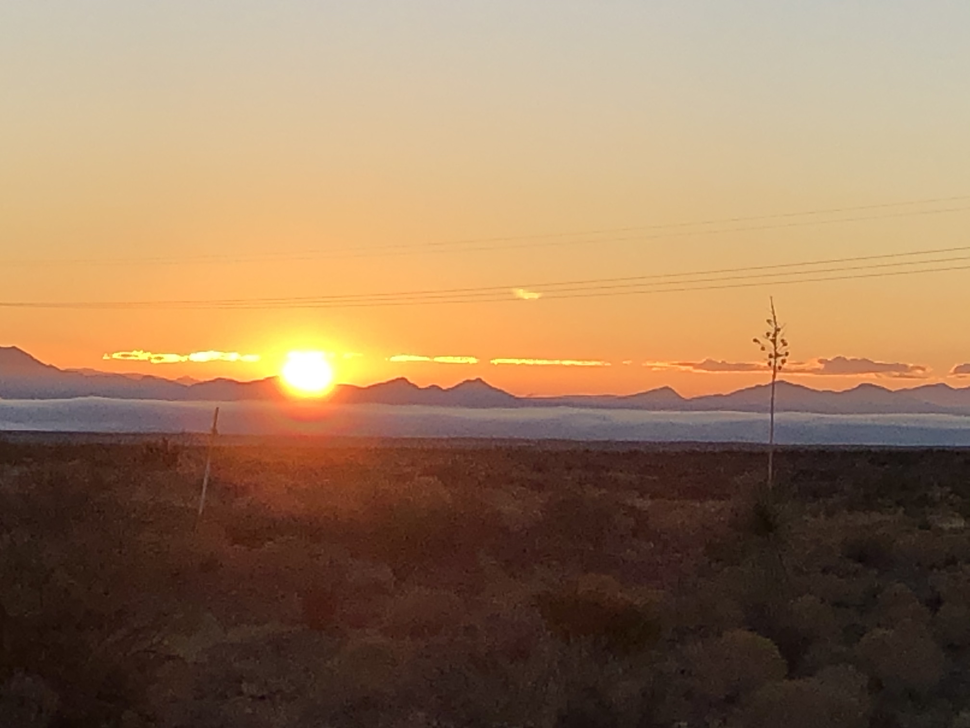 Member content 6 of 21