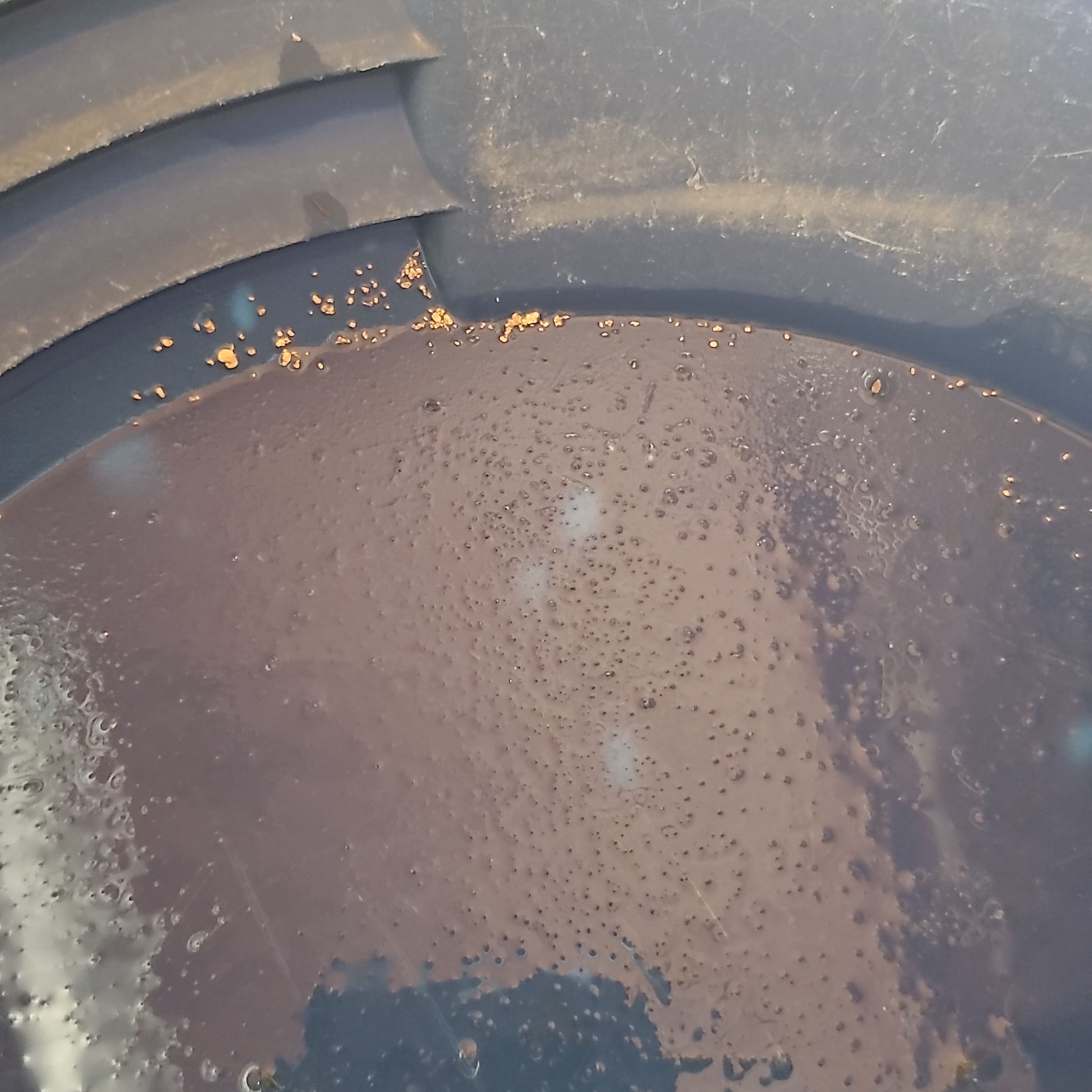 Member content 58 of 97