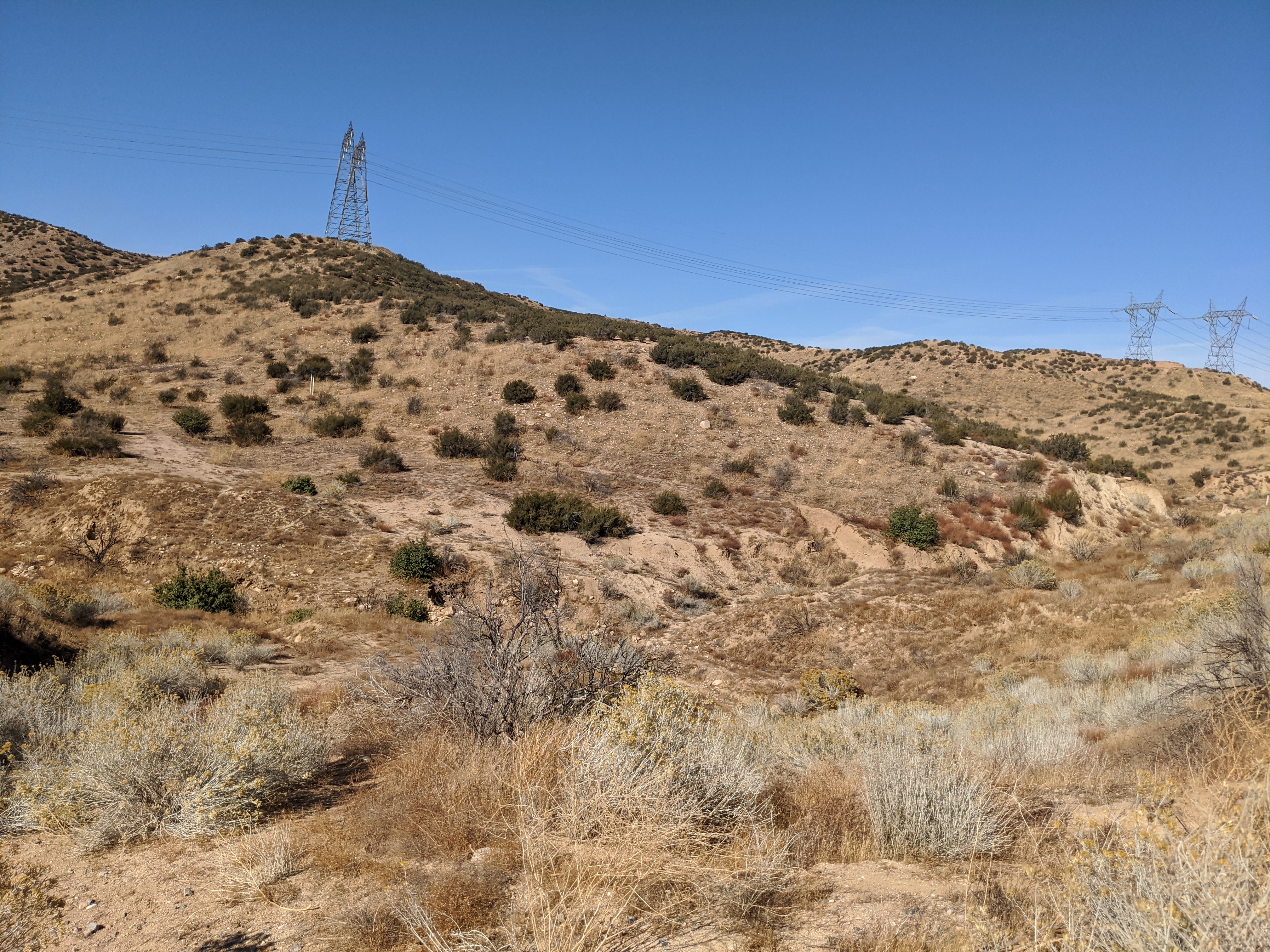 Member content 22 of 97