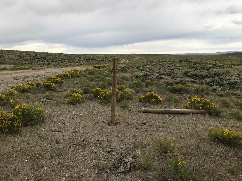 Member content 4 of 12