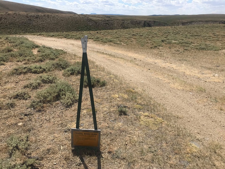 Member content 5 of 12