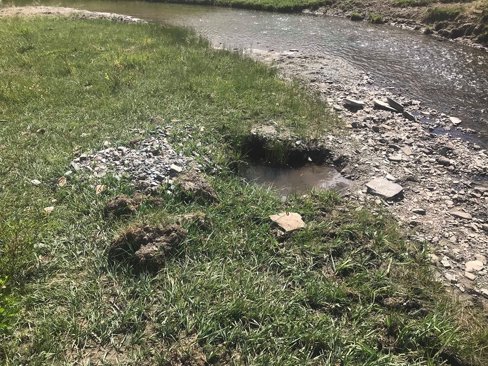 Member content 7 of 12