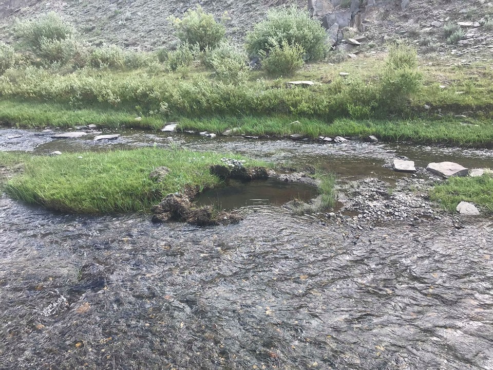 Member content 8 of 12