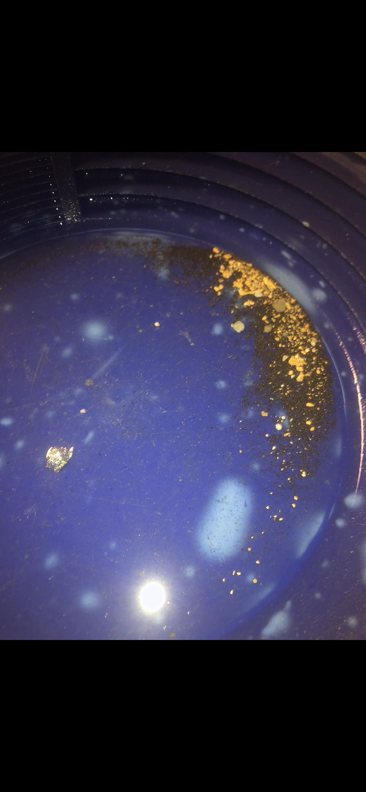 Member content 3 of 23