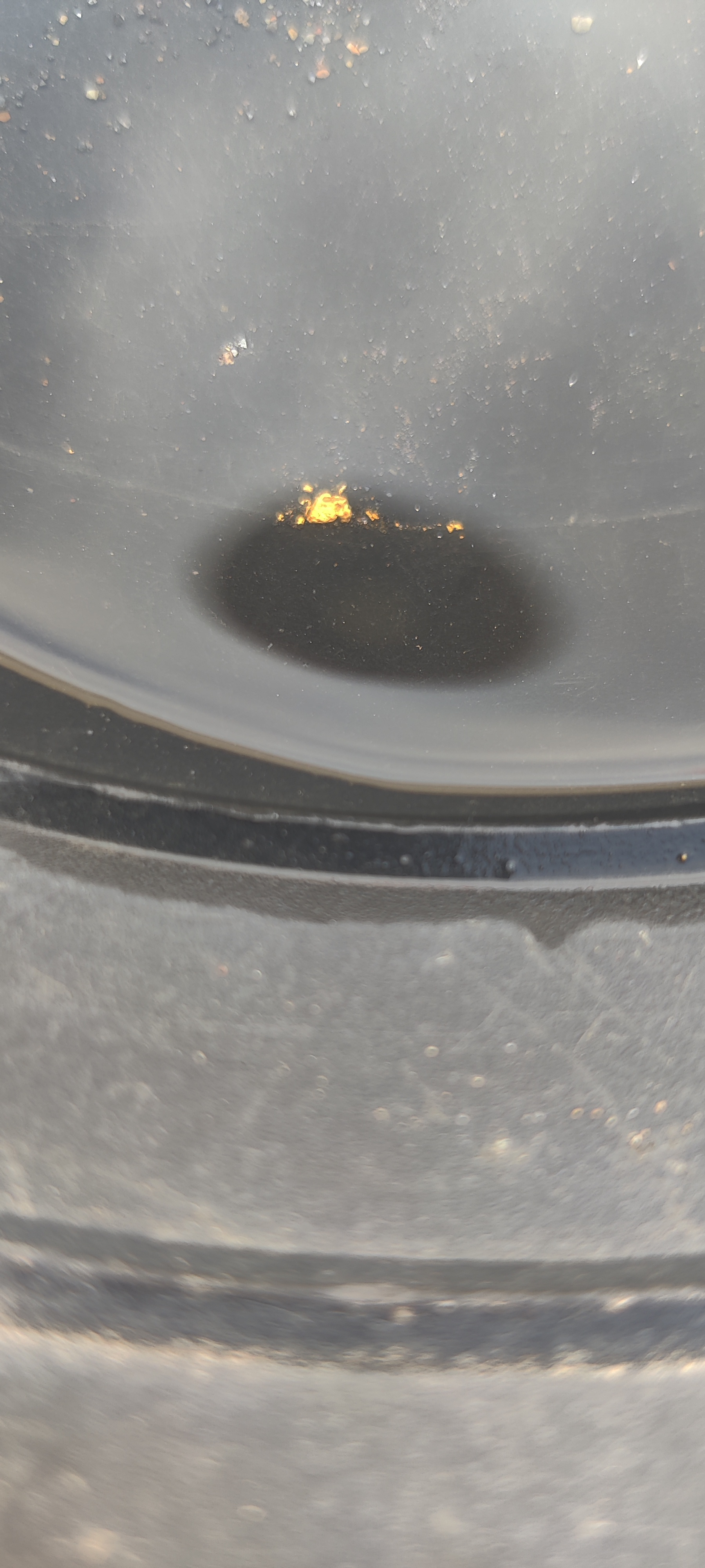 Member content 4 of 12