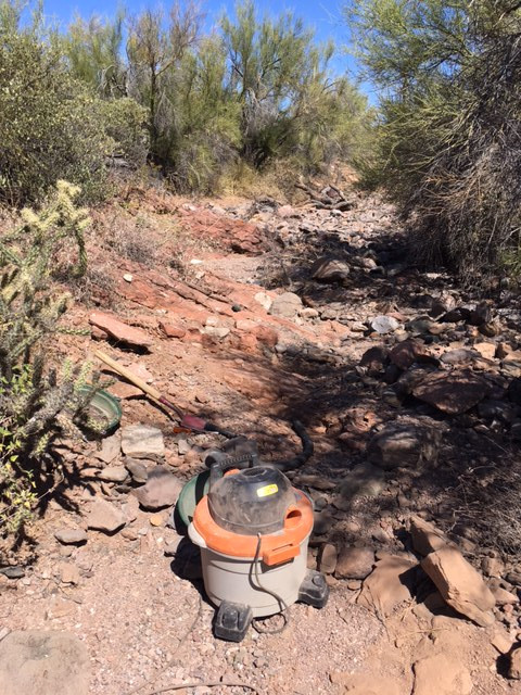 Member content 1 of 29