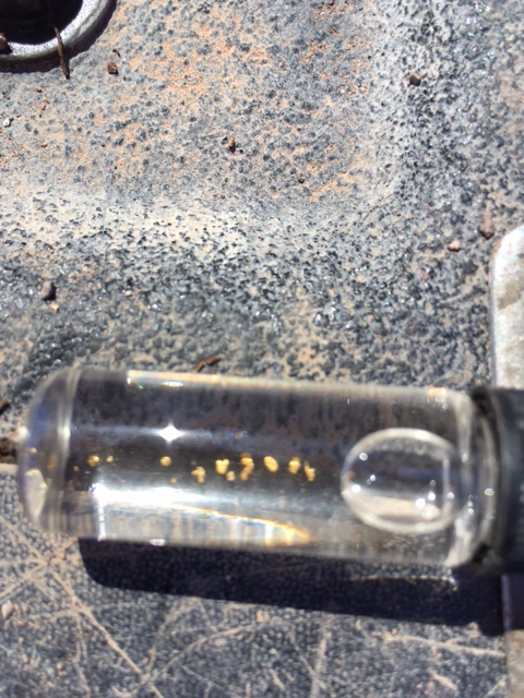 Member content 2 of 29