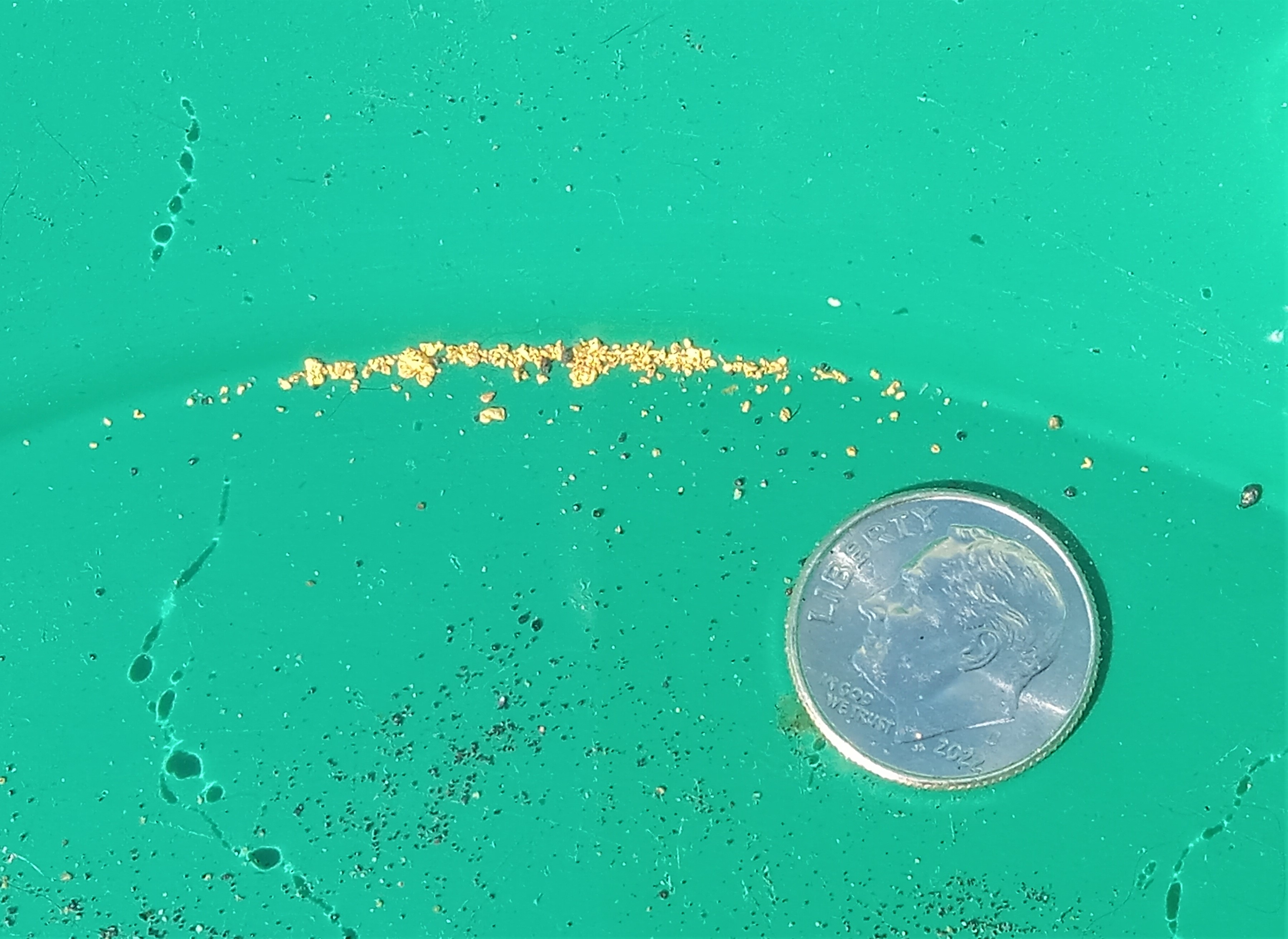 Member content 8 of 20