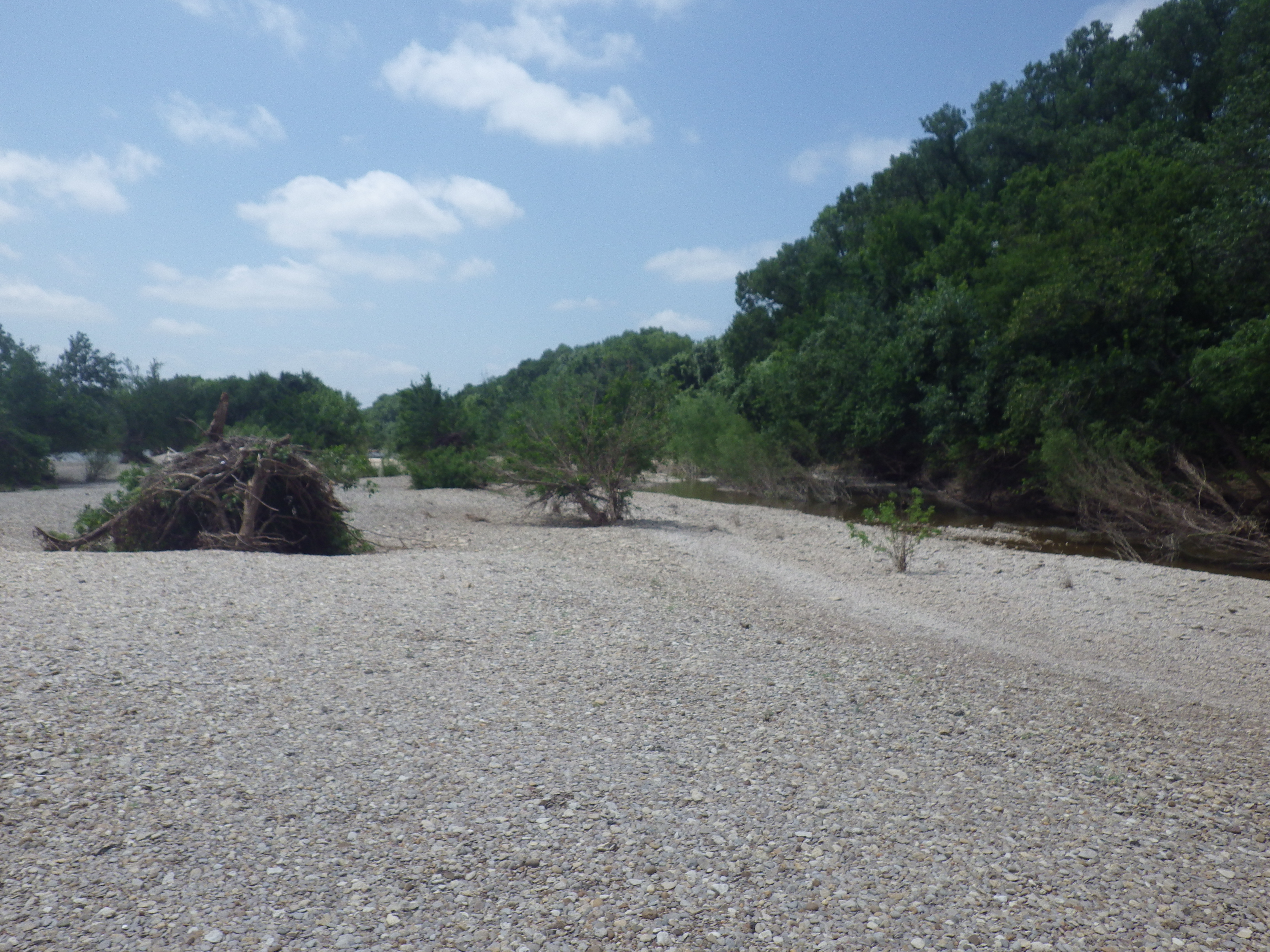 Member content 1 of 15