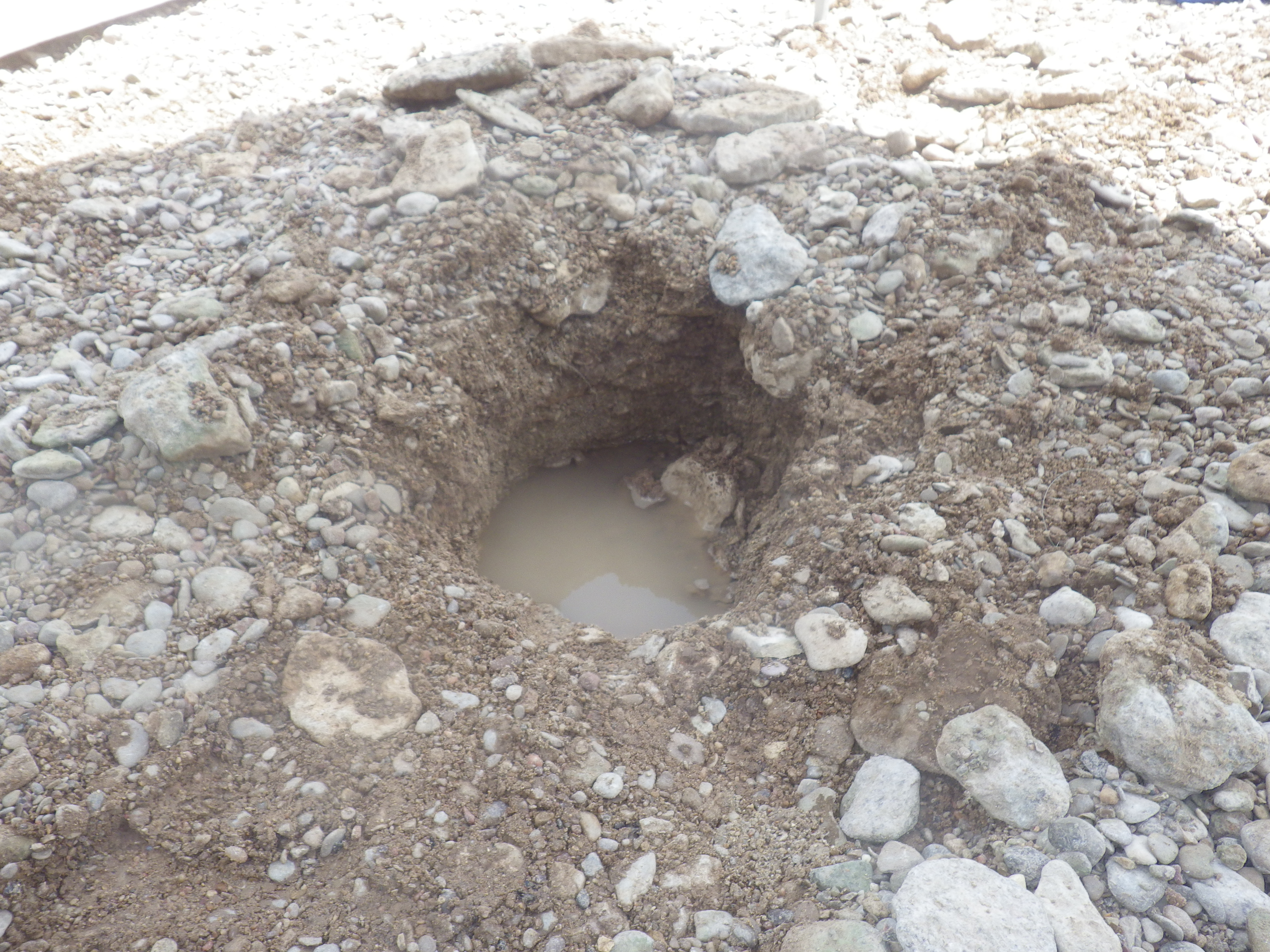 Member content 2 of 15