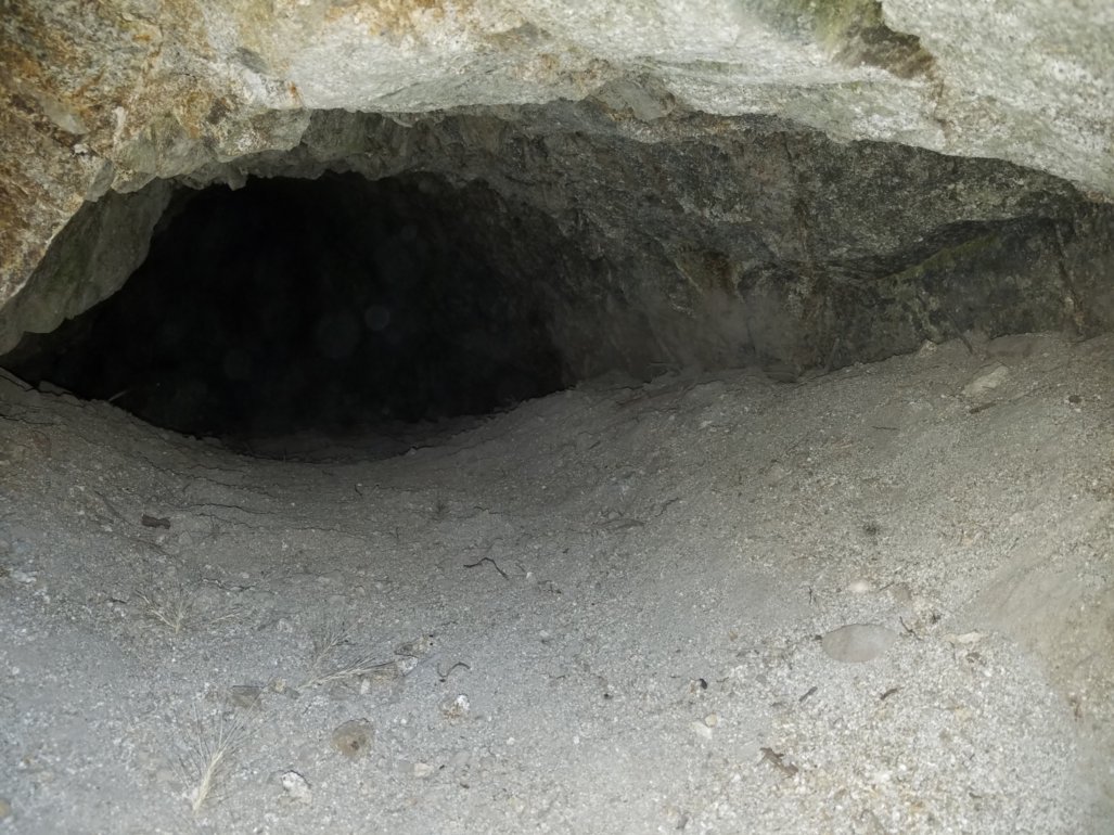 Member content 3 of 24