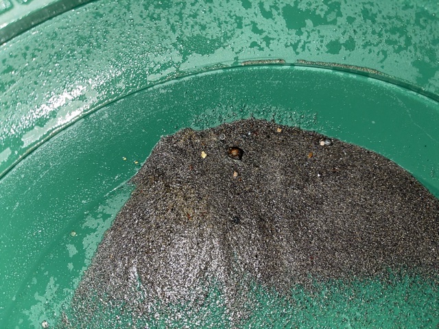 Member content 7 of 10