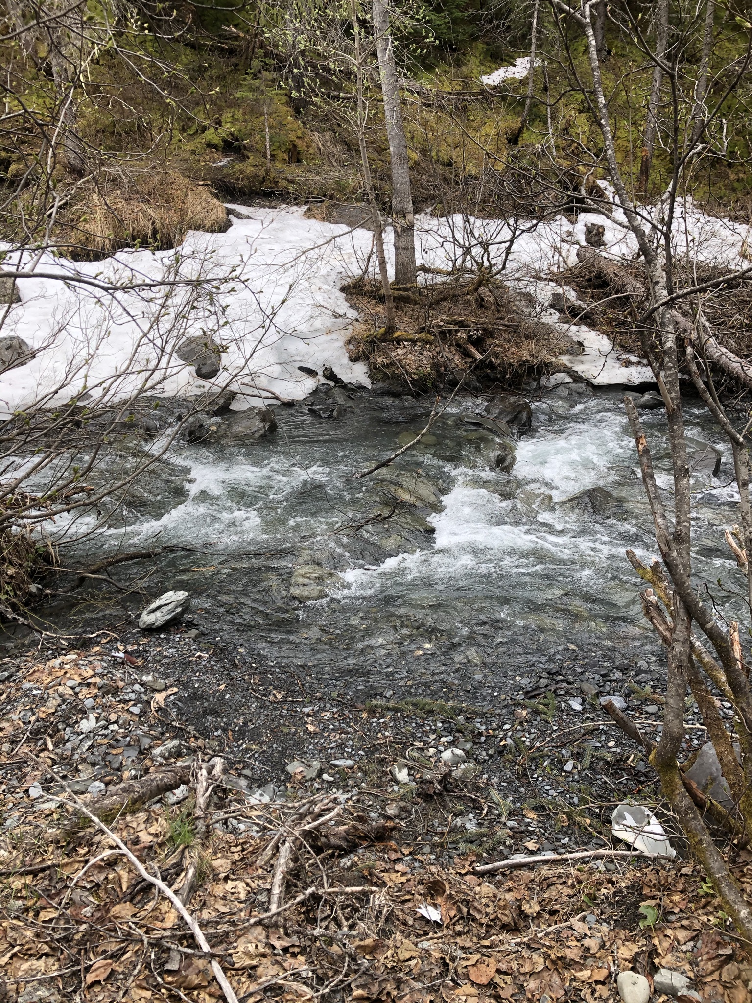 Member content 1 of 4