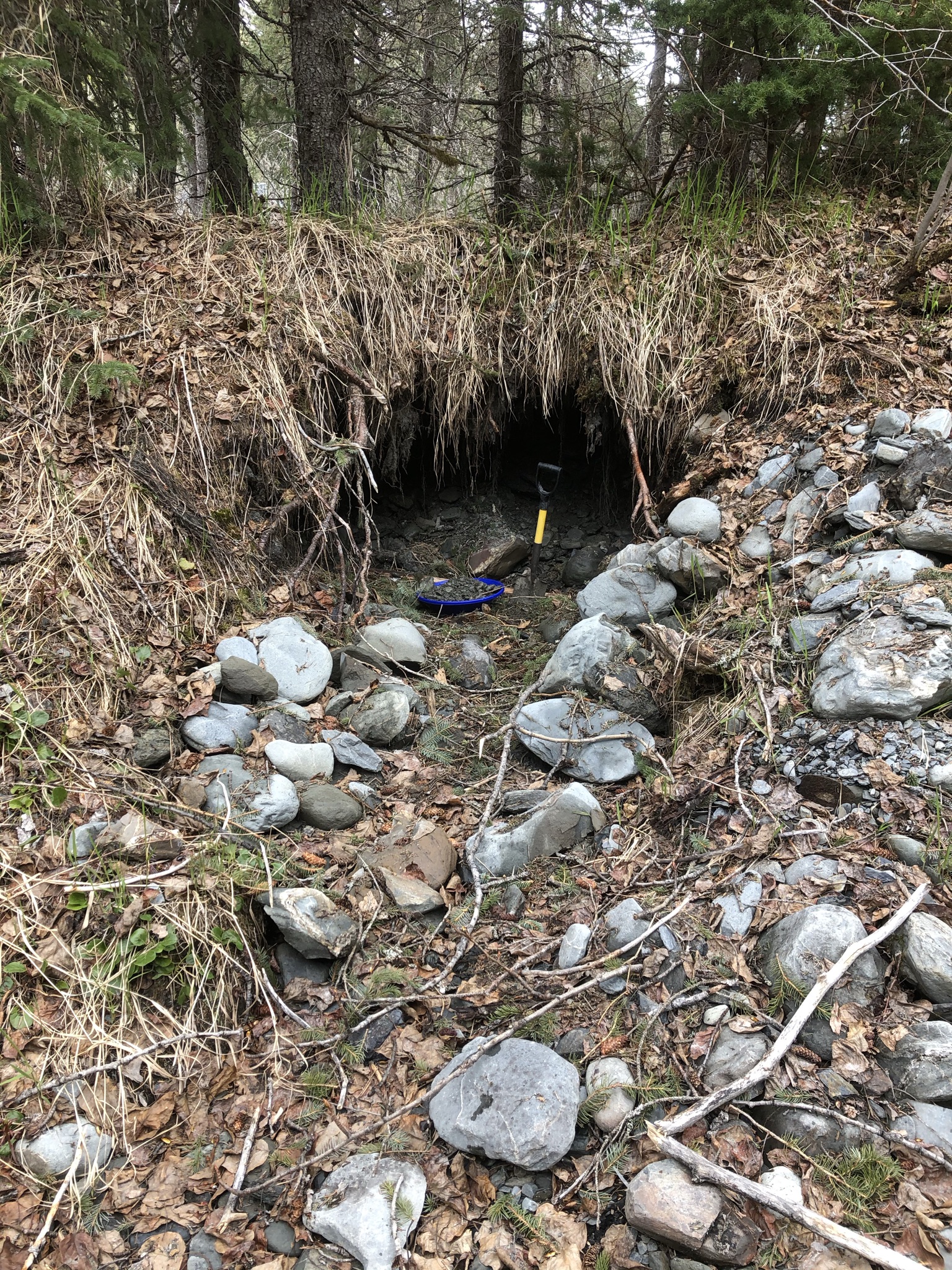 Member content 2 of 4