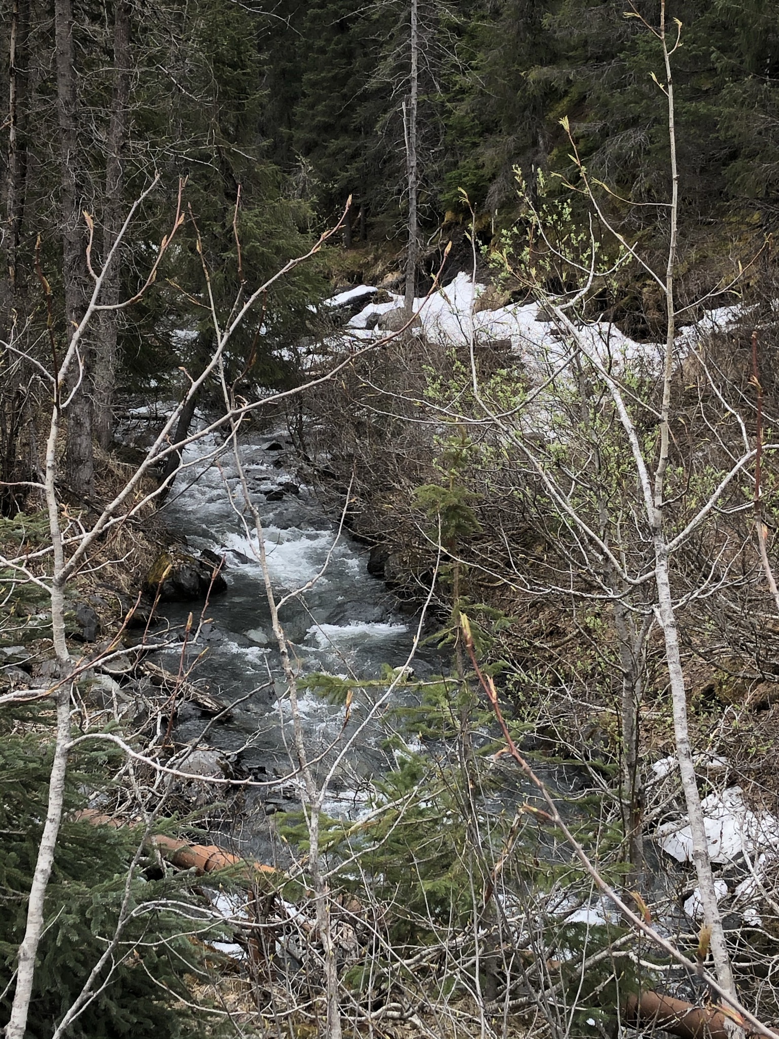 Member content 3 of 4