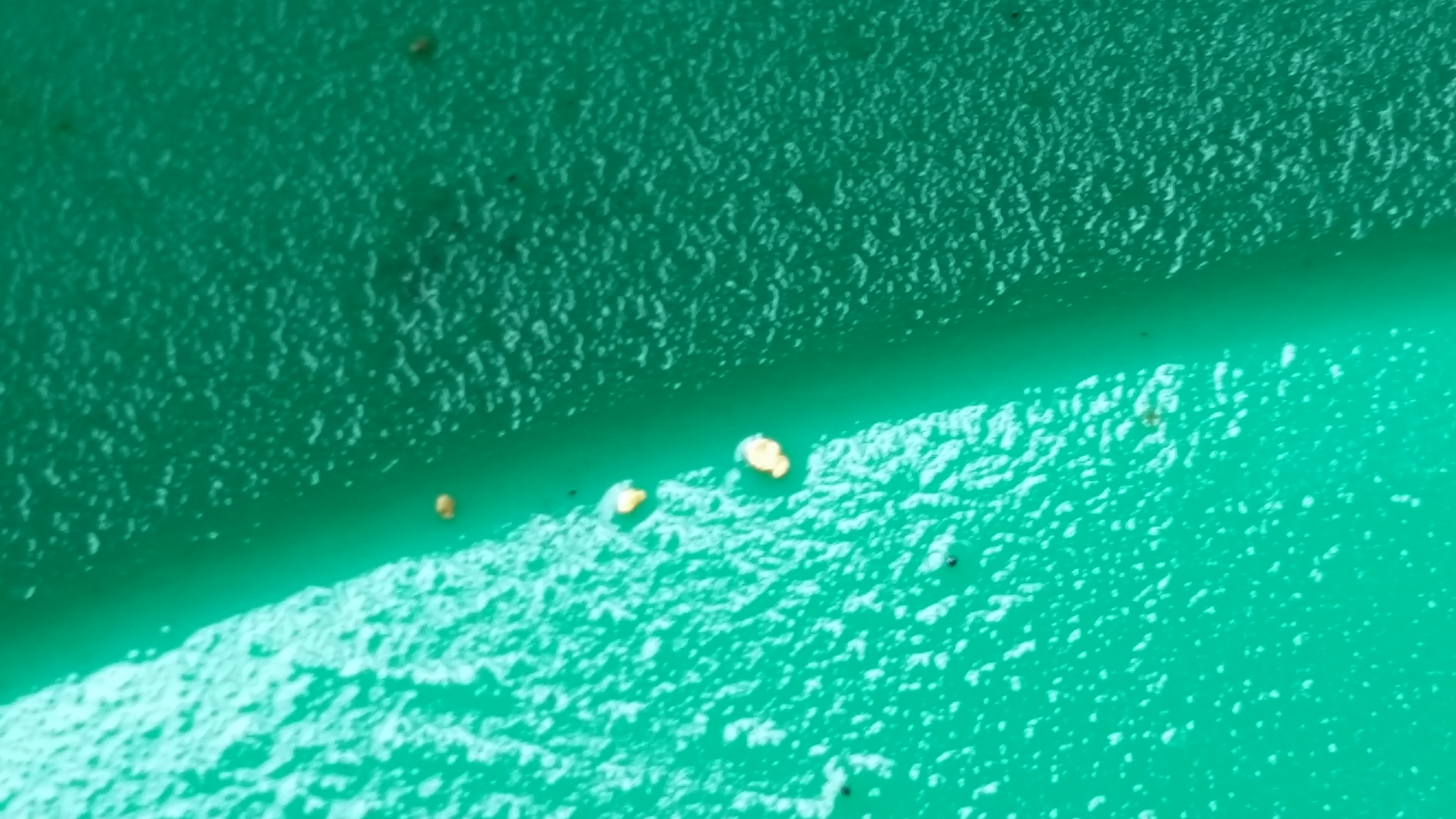 Member content 1 of 3