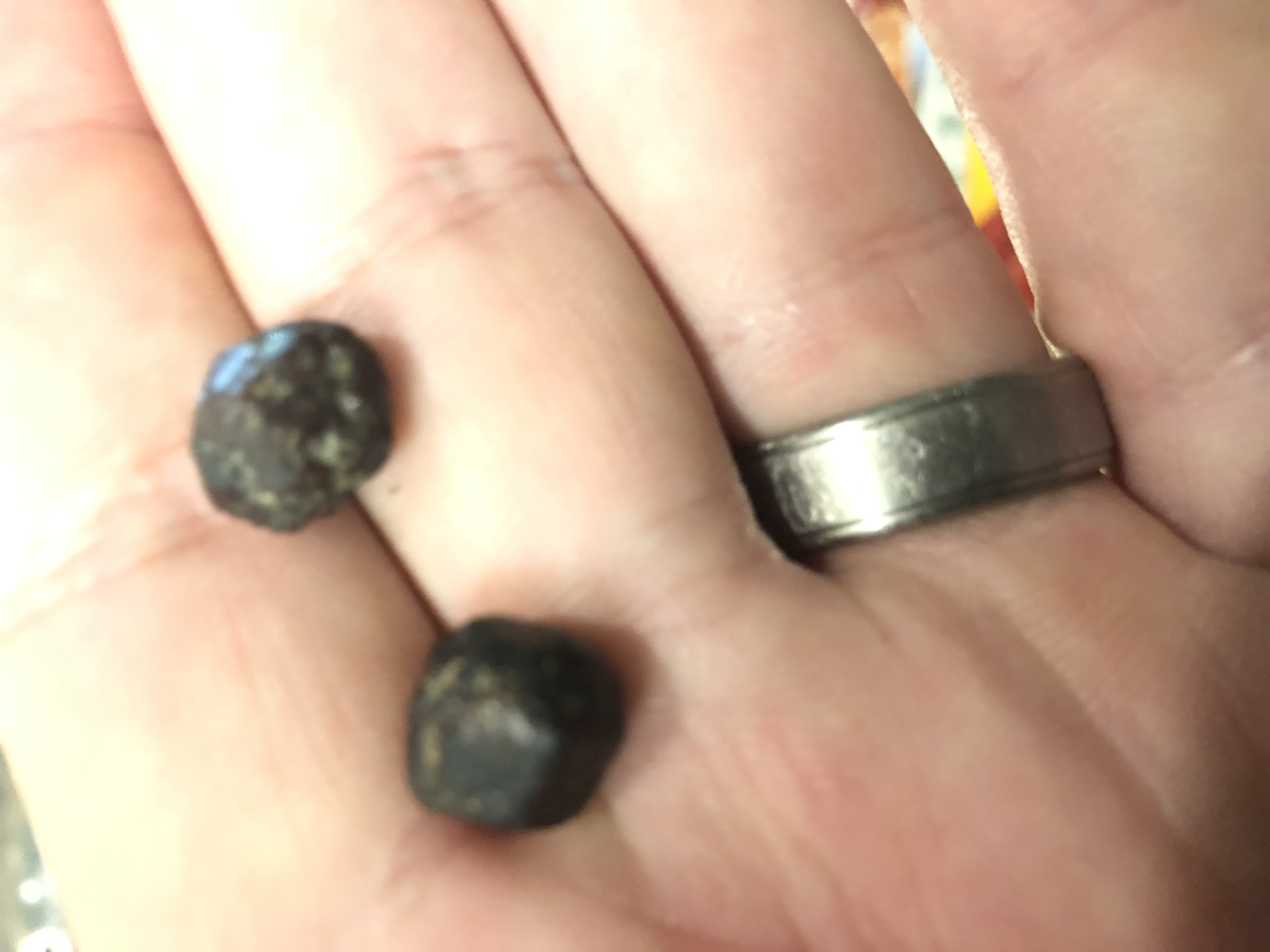 Member content 2 of 10