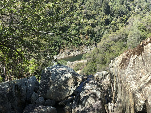 Member content 1 of 4