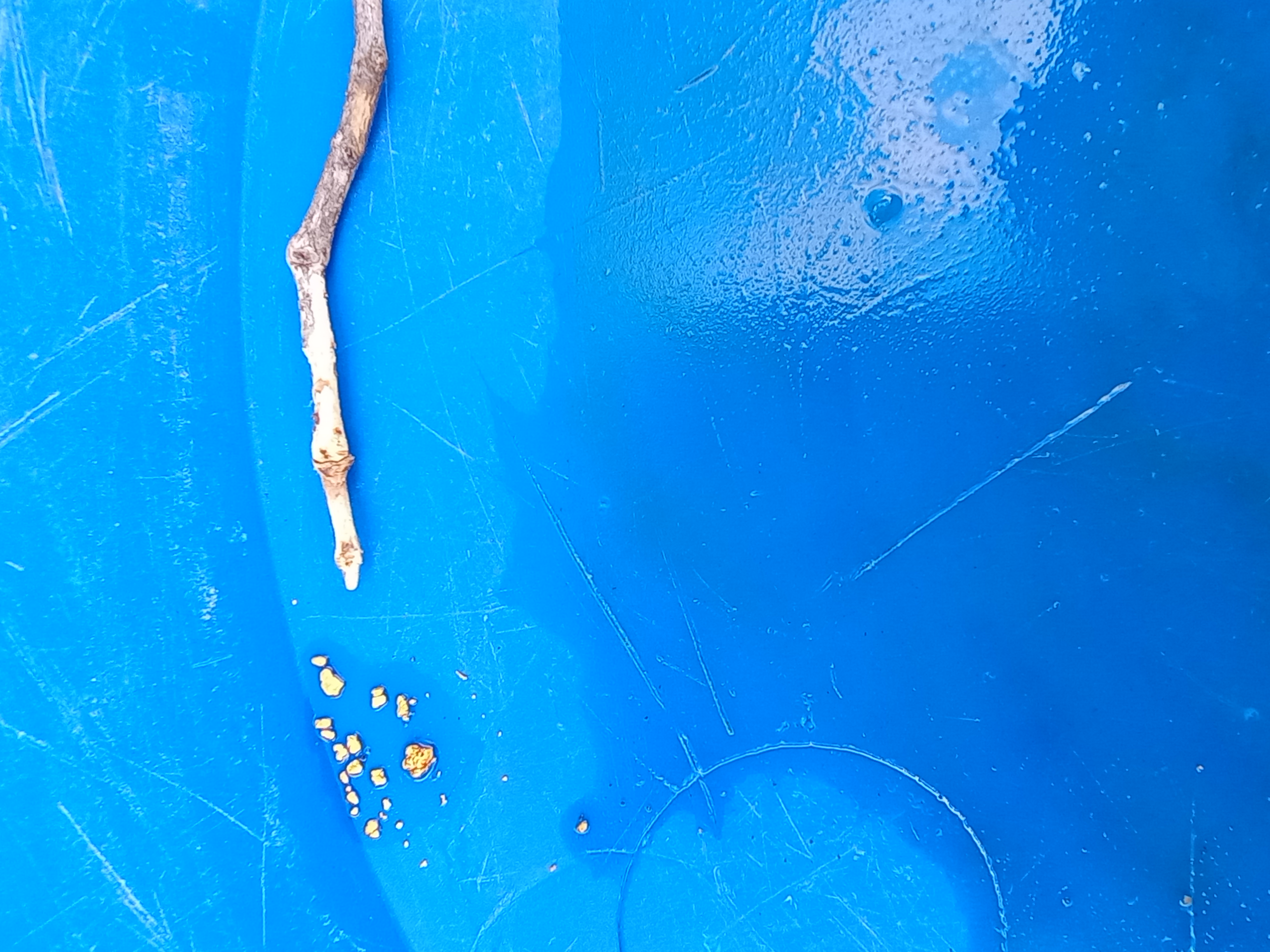 Member content 15 of 29