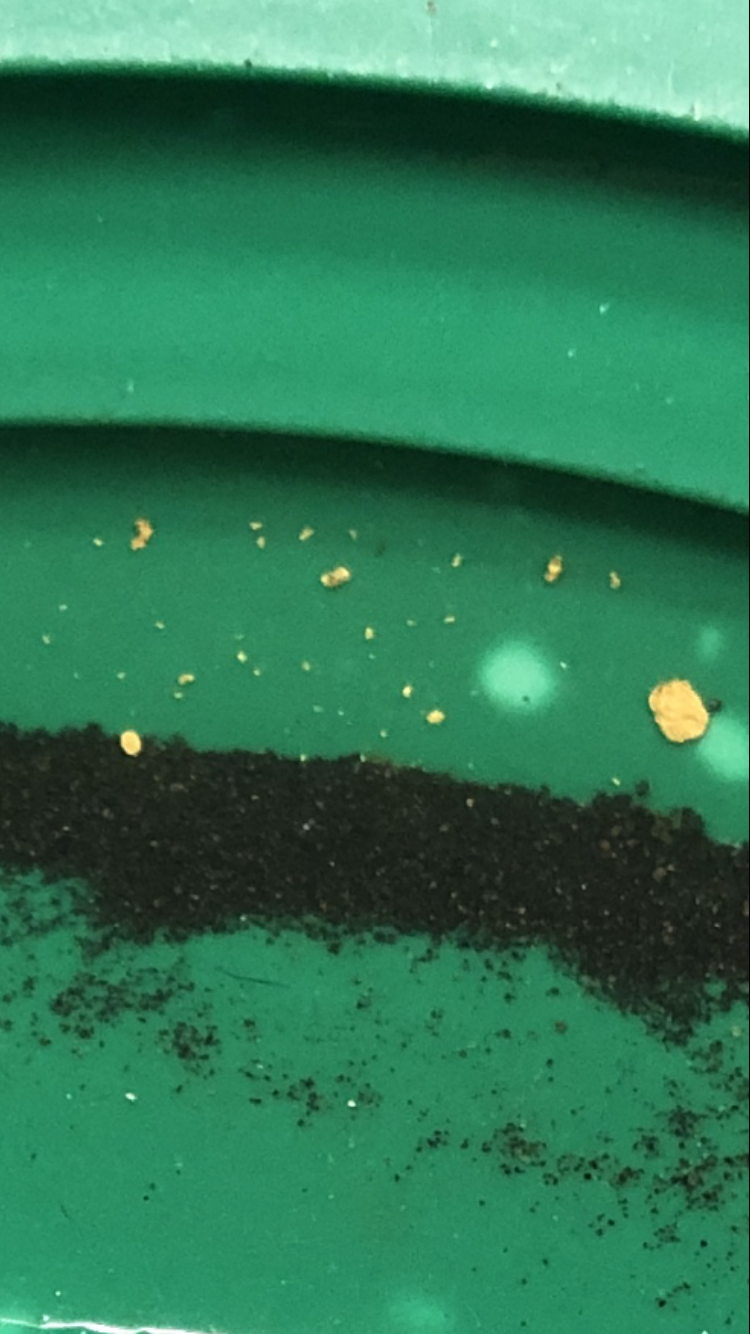 Member content 5 of 12